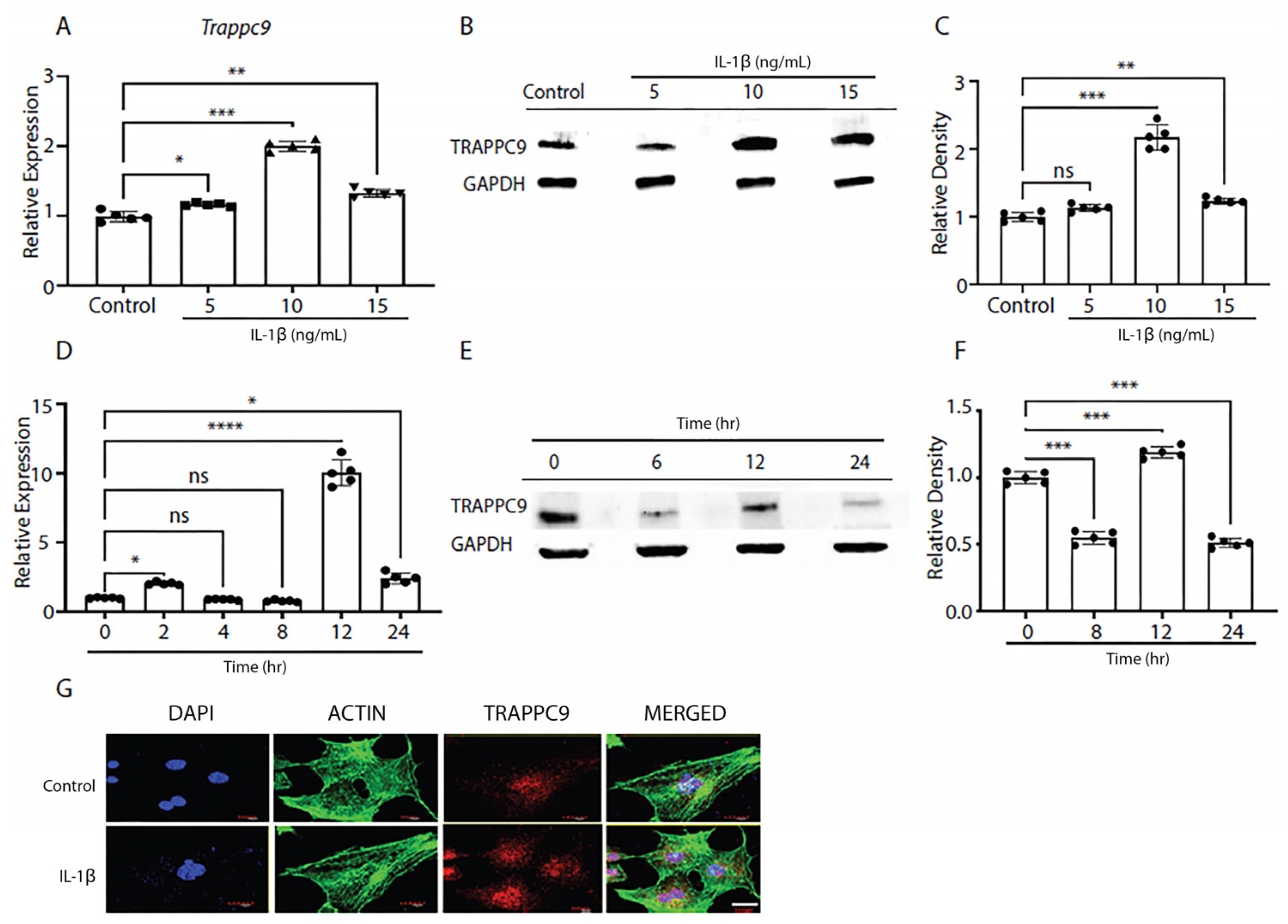 Preprints 71137 g001