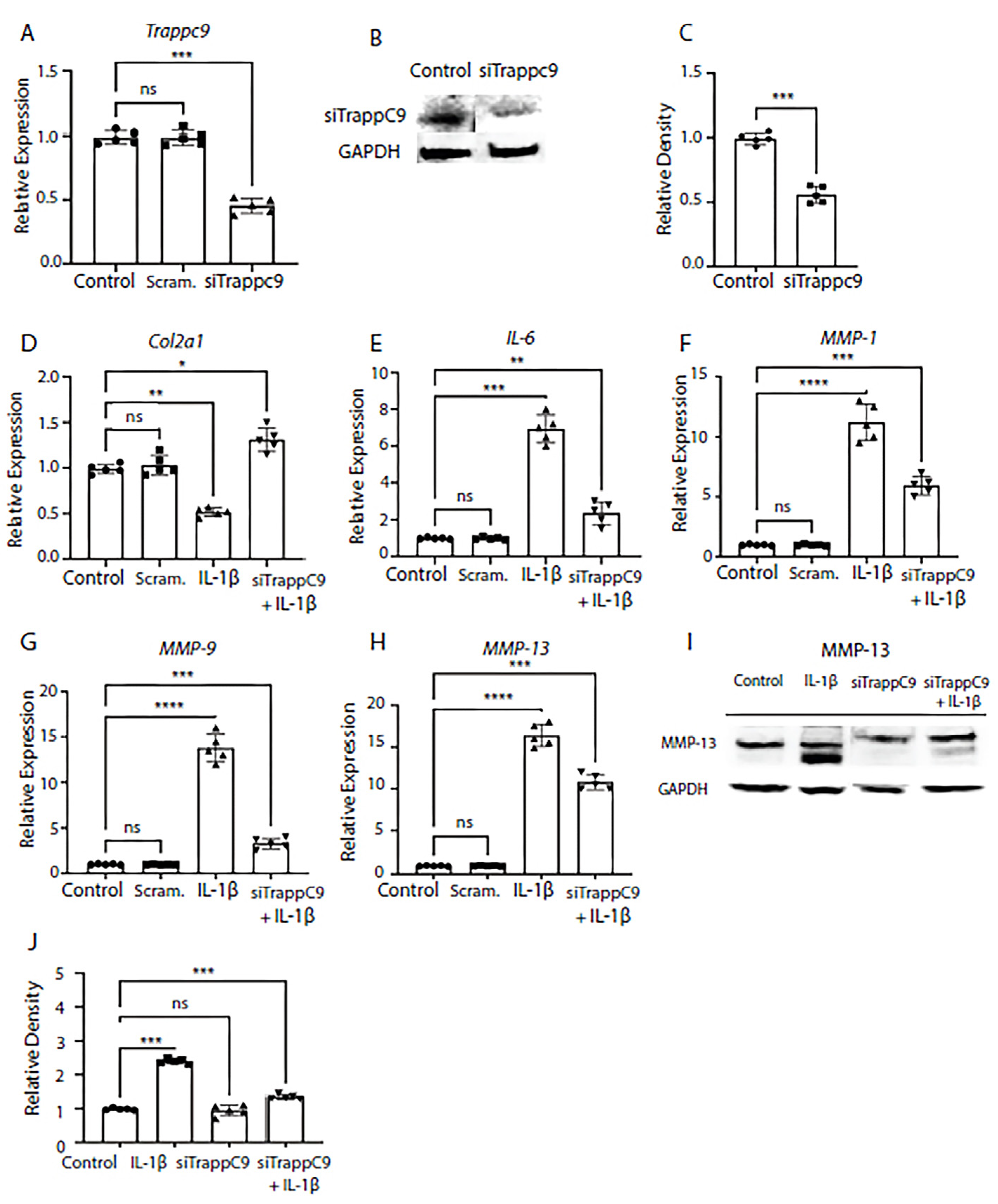 Preprints 71137 g002