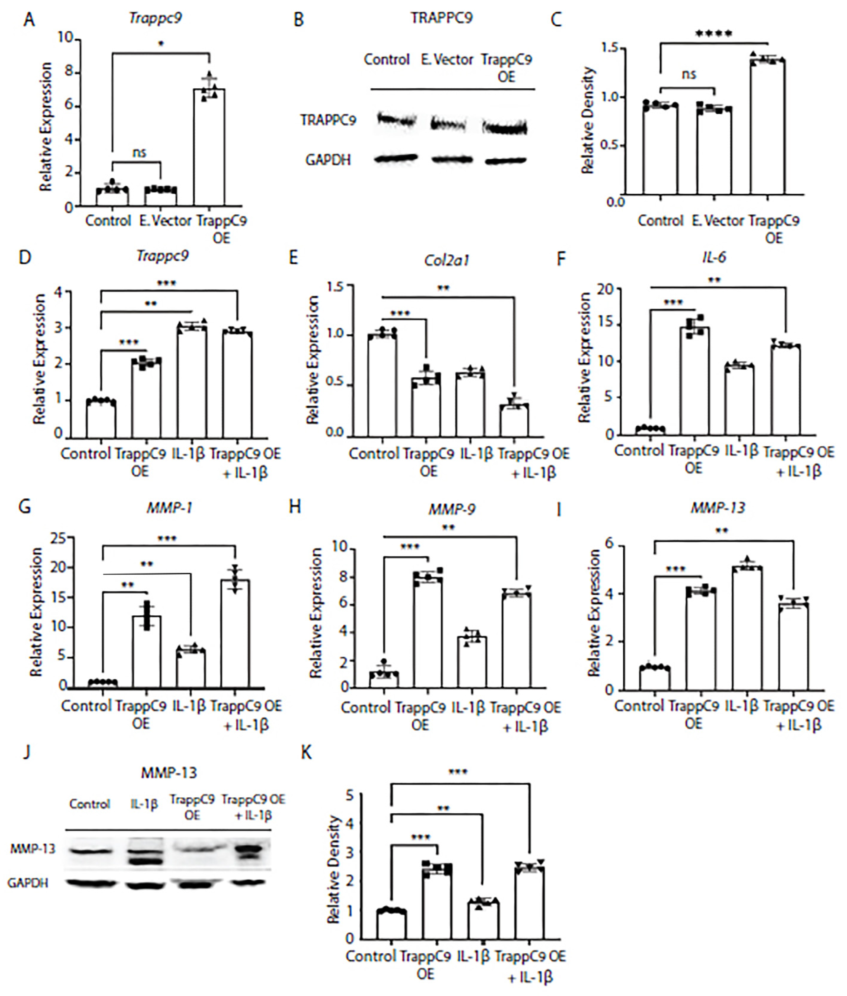 Preprints 71137 g003