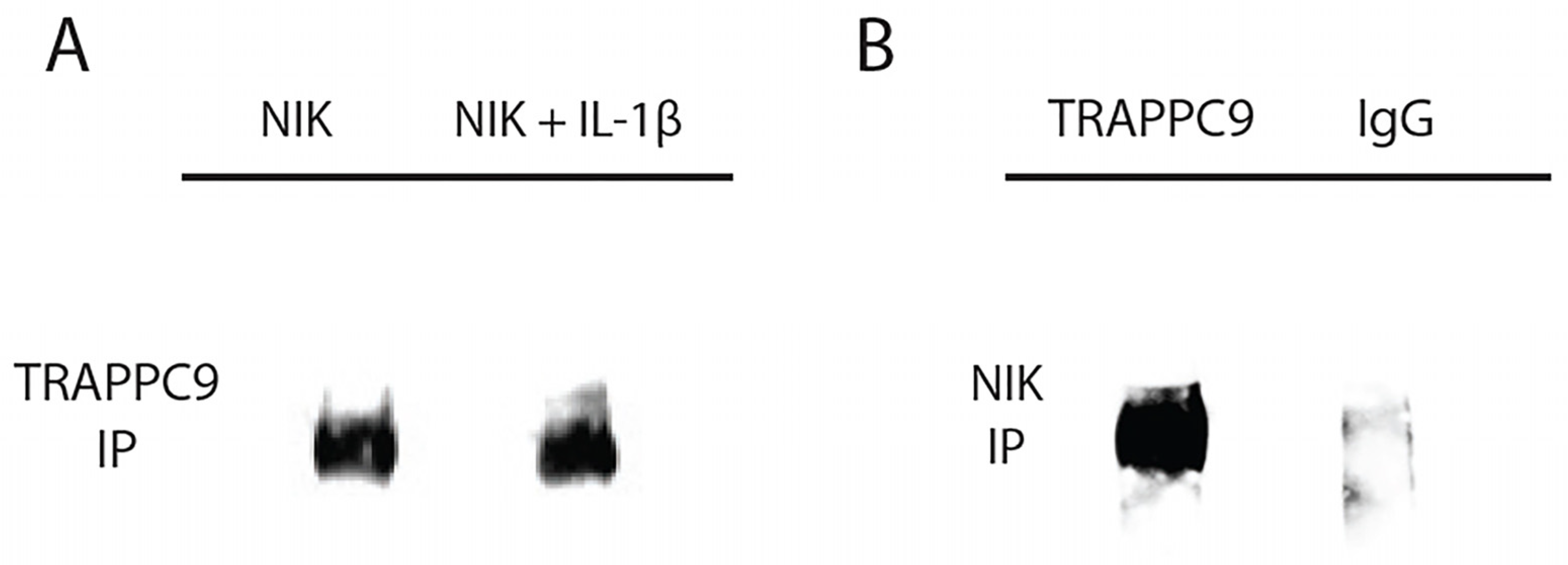 Preprints 71137 g004