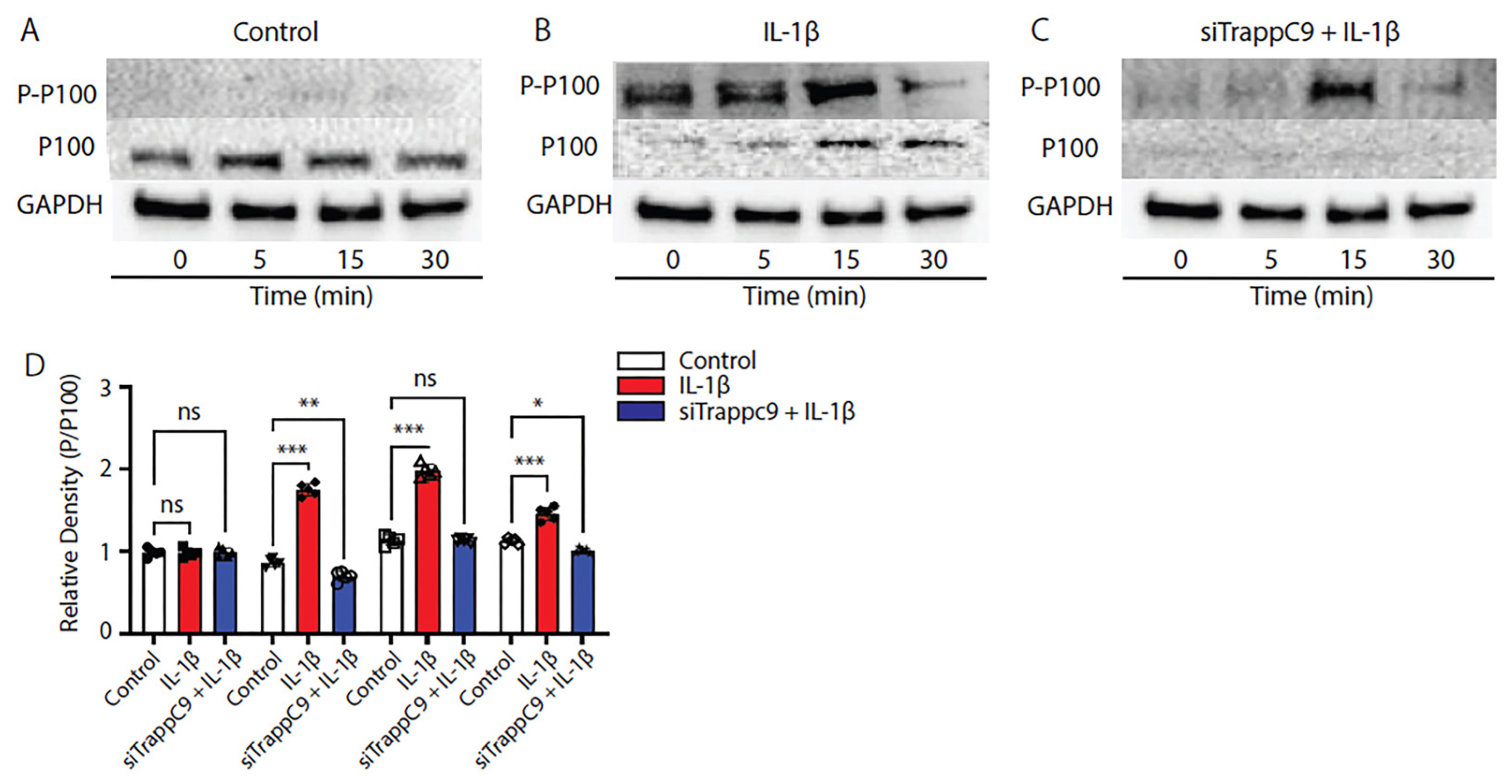 Preprints 71137 g005