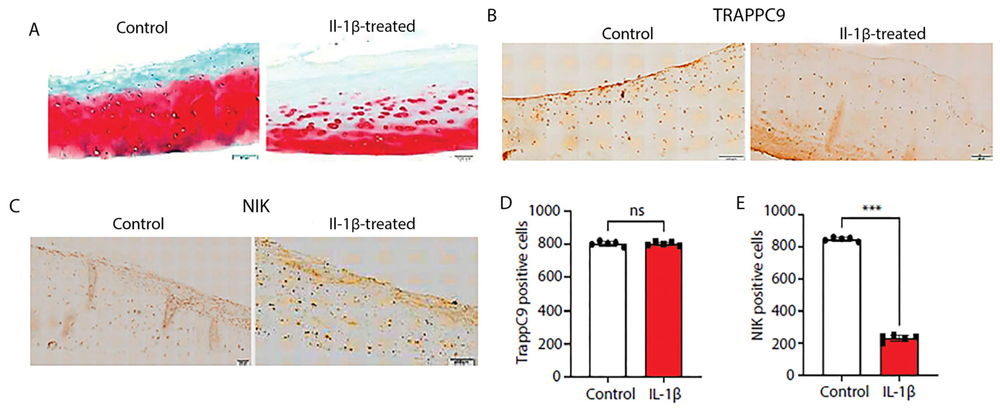 Preprints 71137 g007