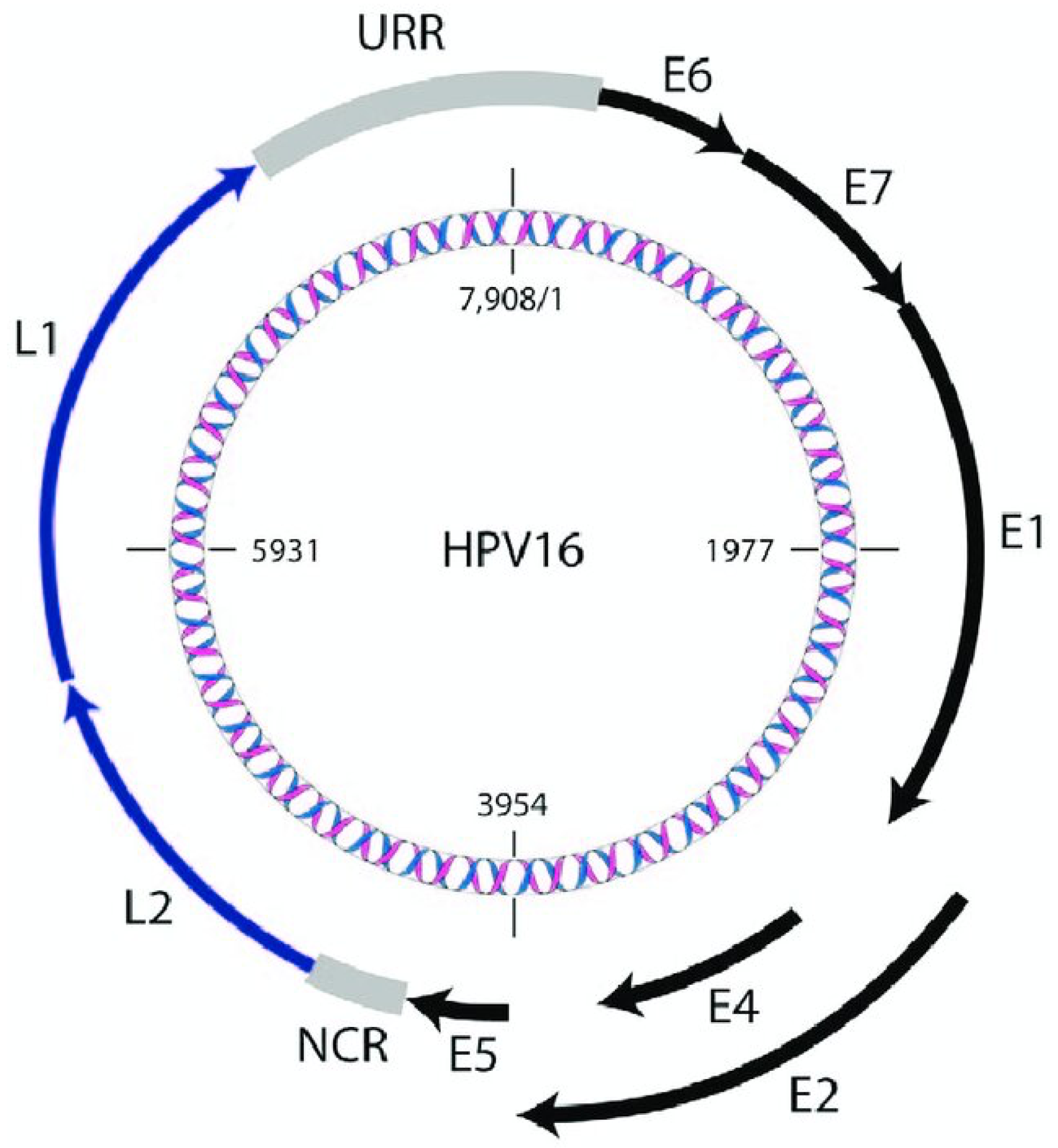 Preprints 100345 g001