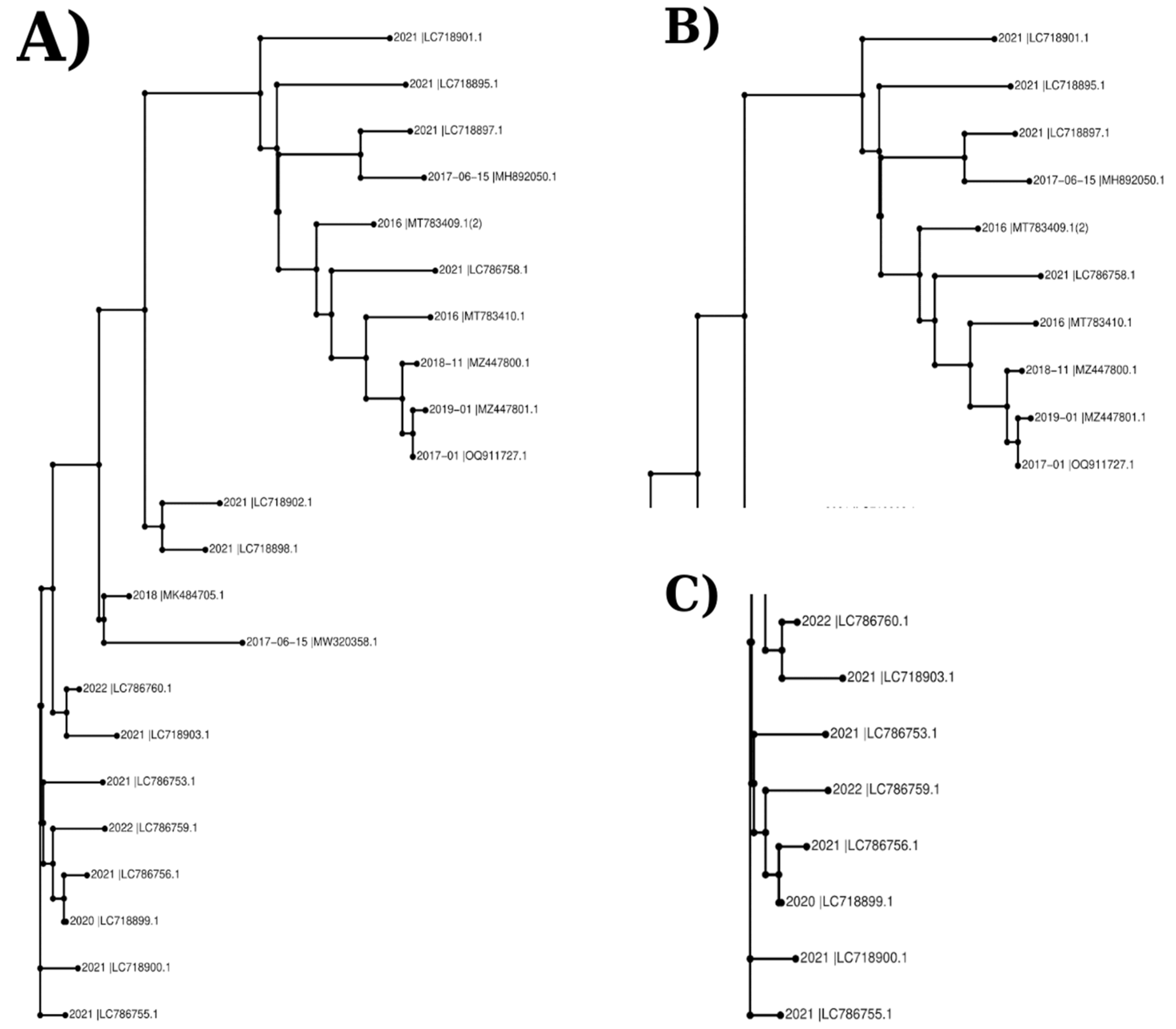 Preprints 100345 g002