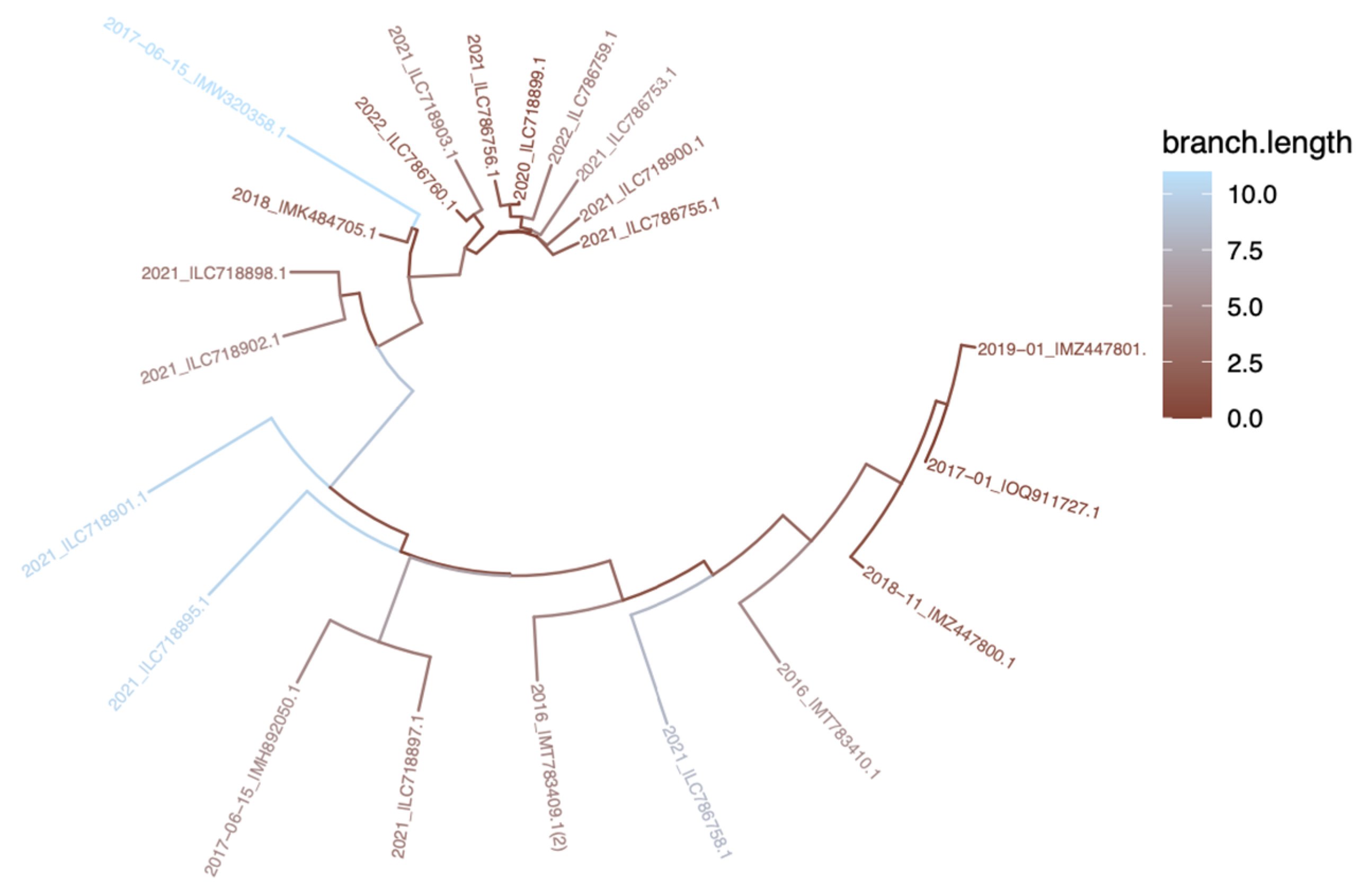 Preprints 100345 g005