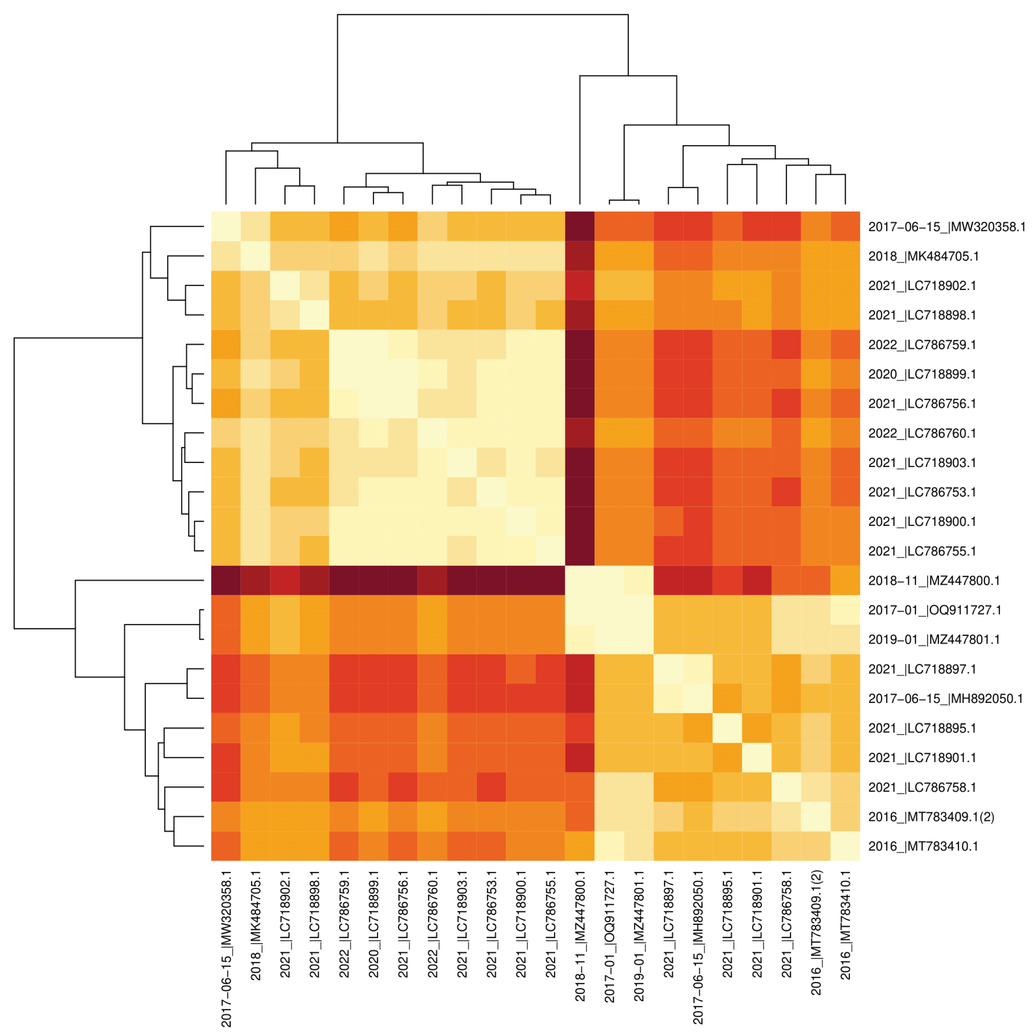 Preprints 100345 g006