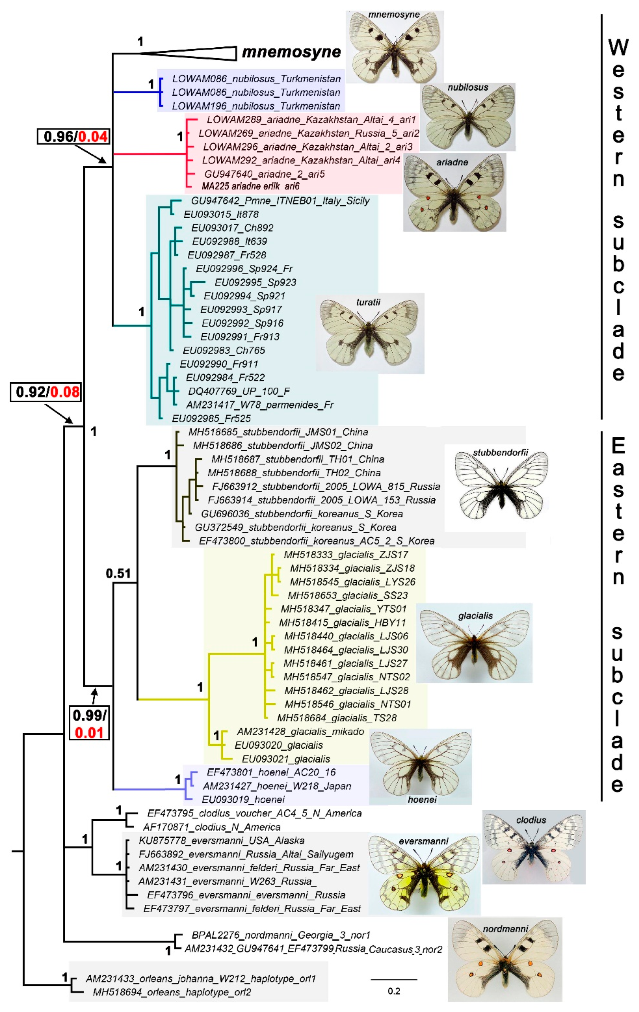 Preprints 91008 g001