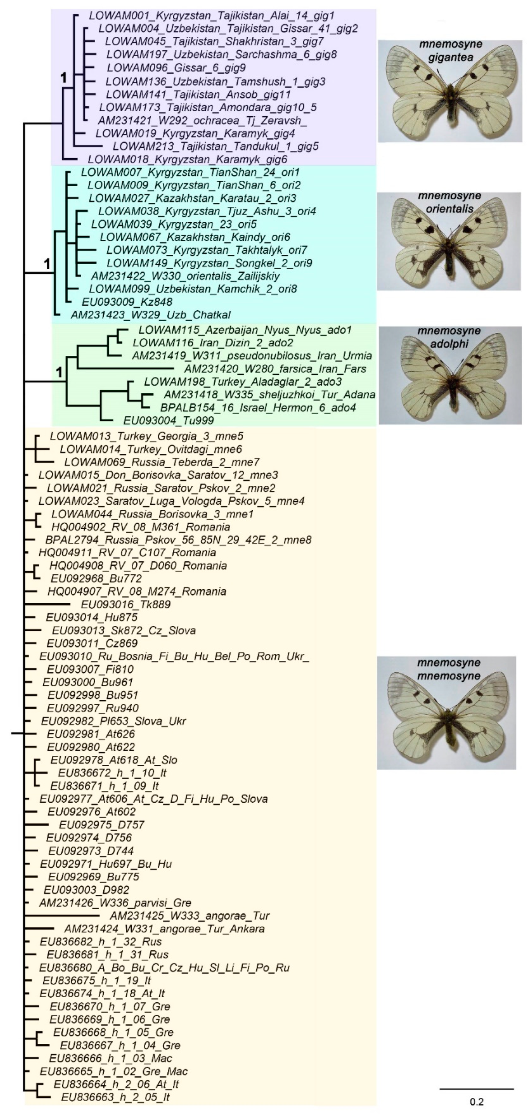 Preprints 91008 g002