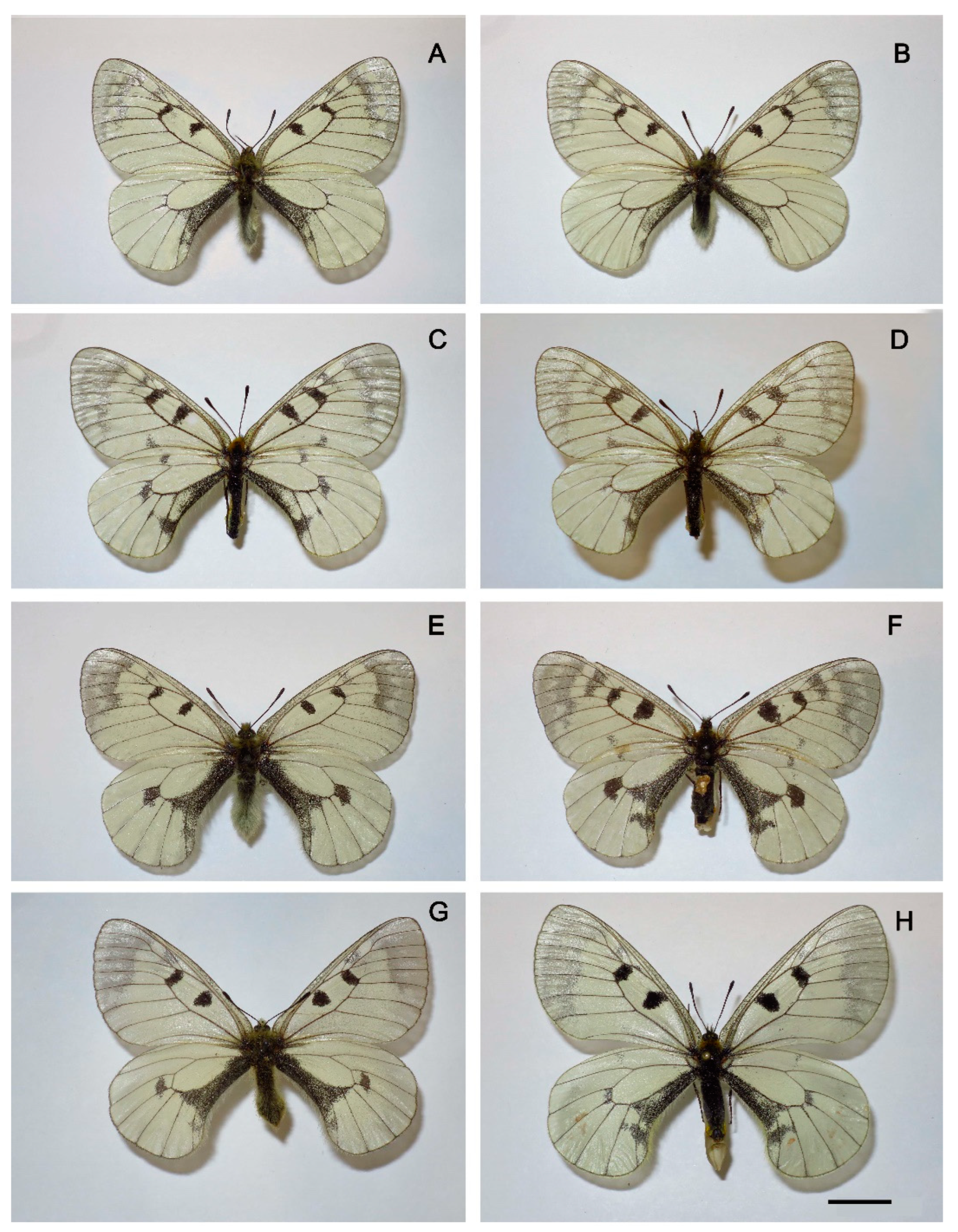 Preprints 91008 g004