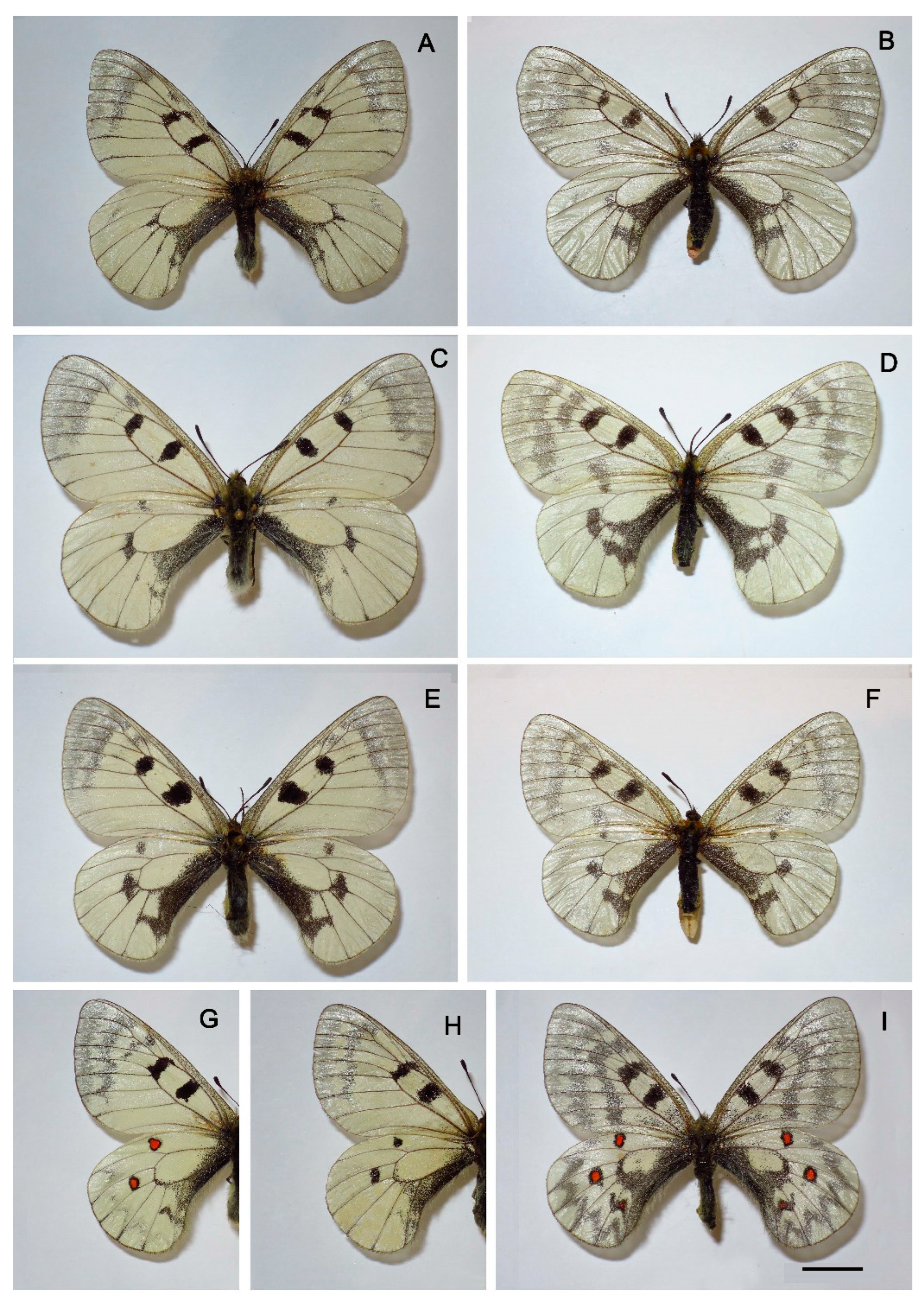 Preprints 91008 g005