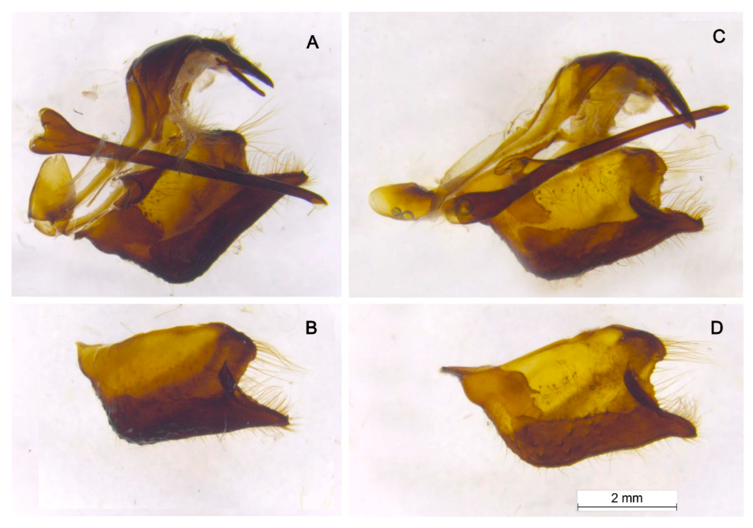 Preprints 91008 g006