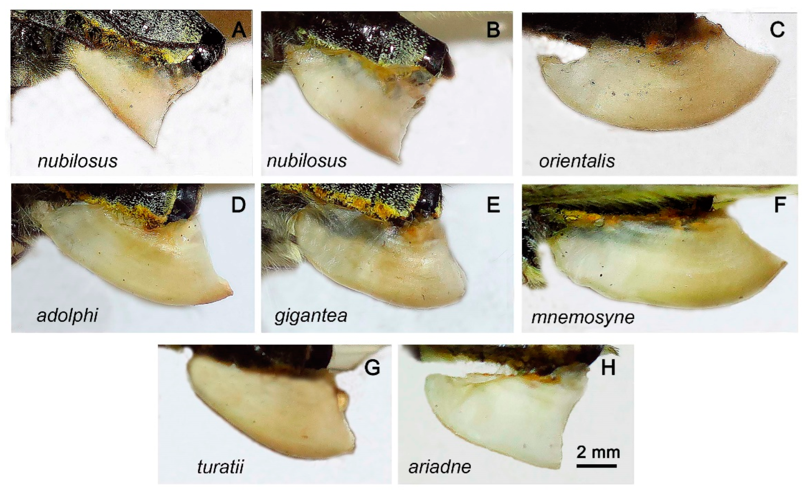 Preprints 91008 g007