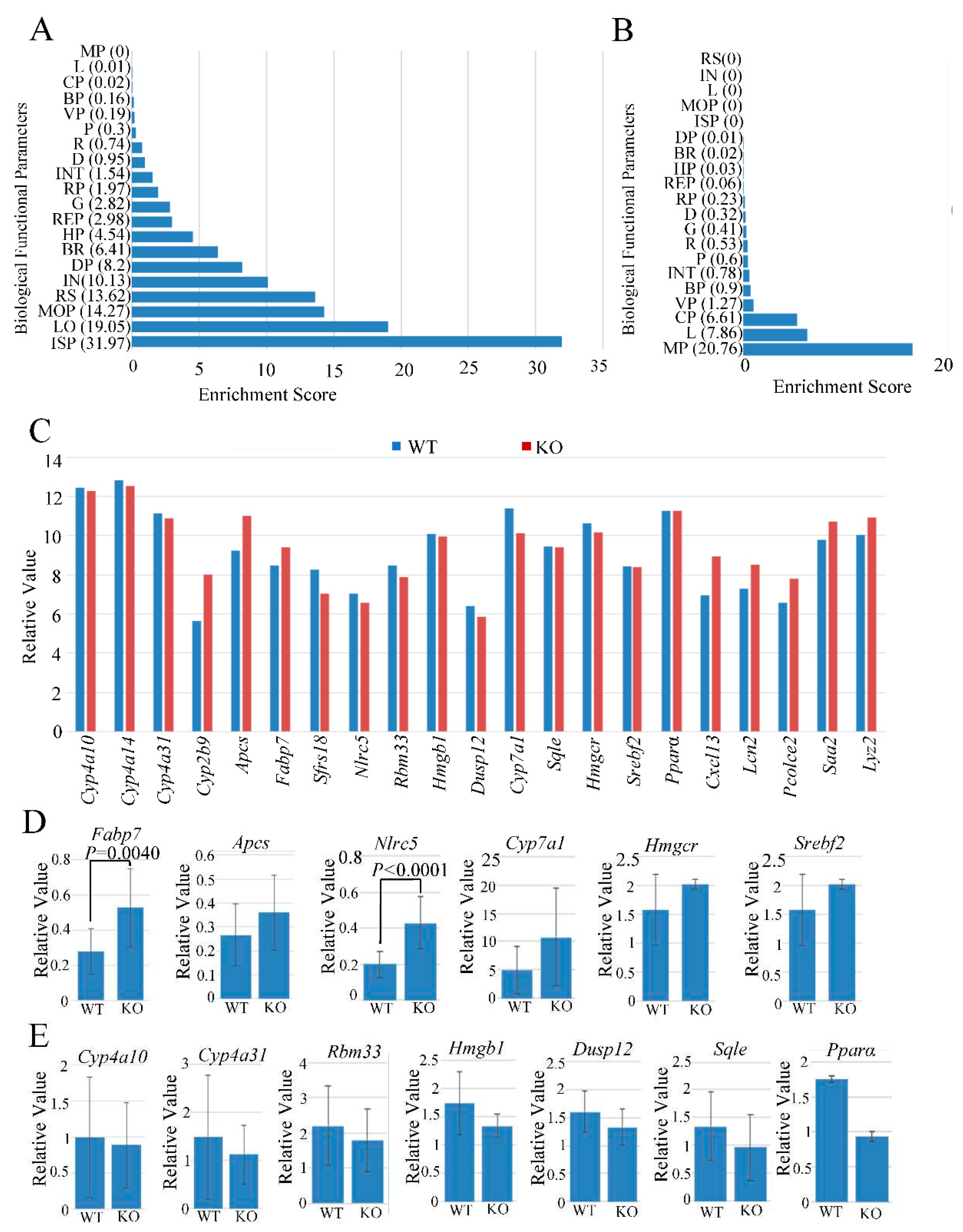 Preprints 90918 g002