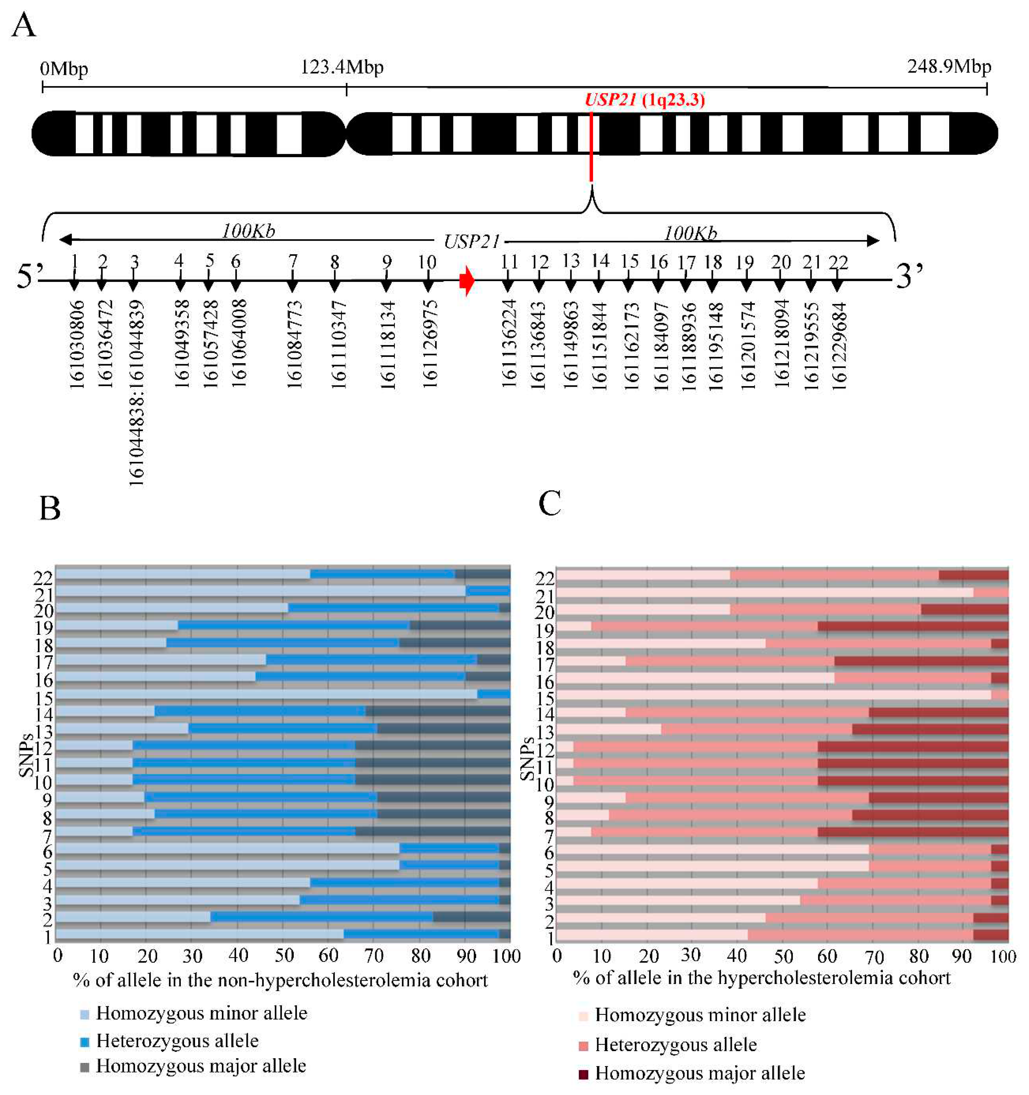 Preprints 90918 g004