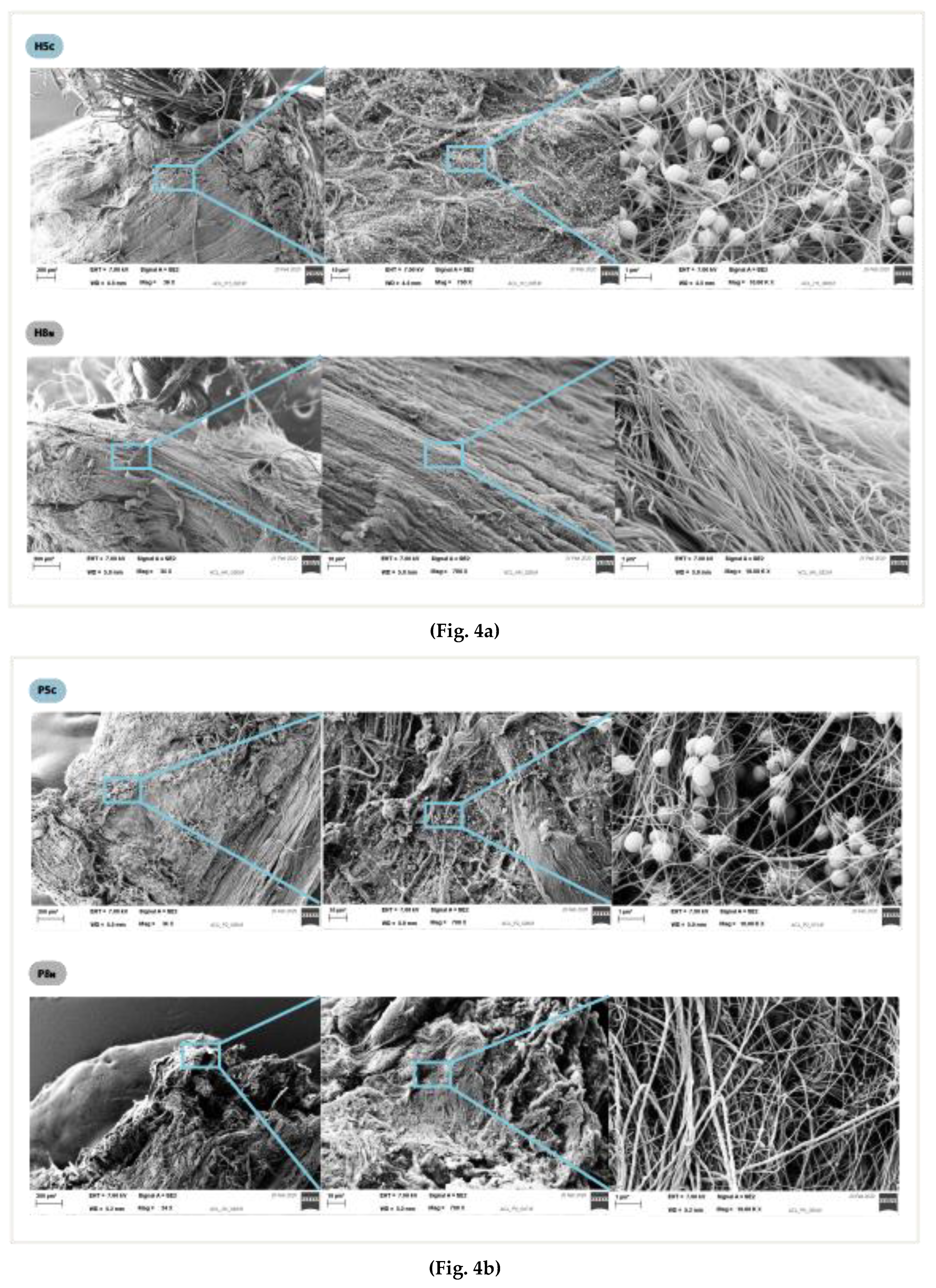 Preprints 72035 g004