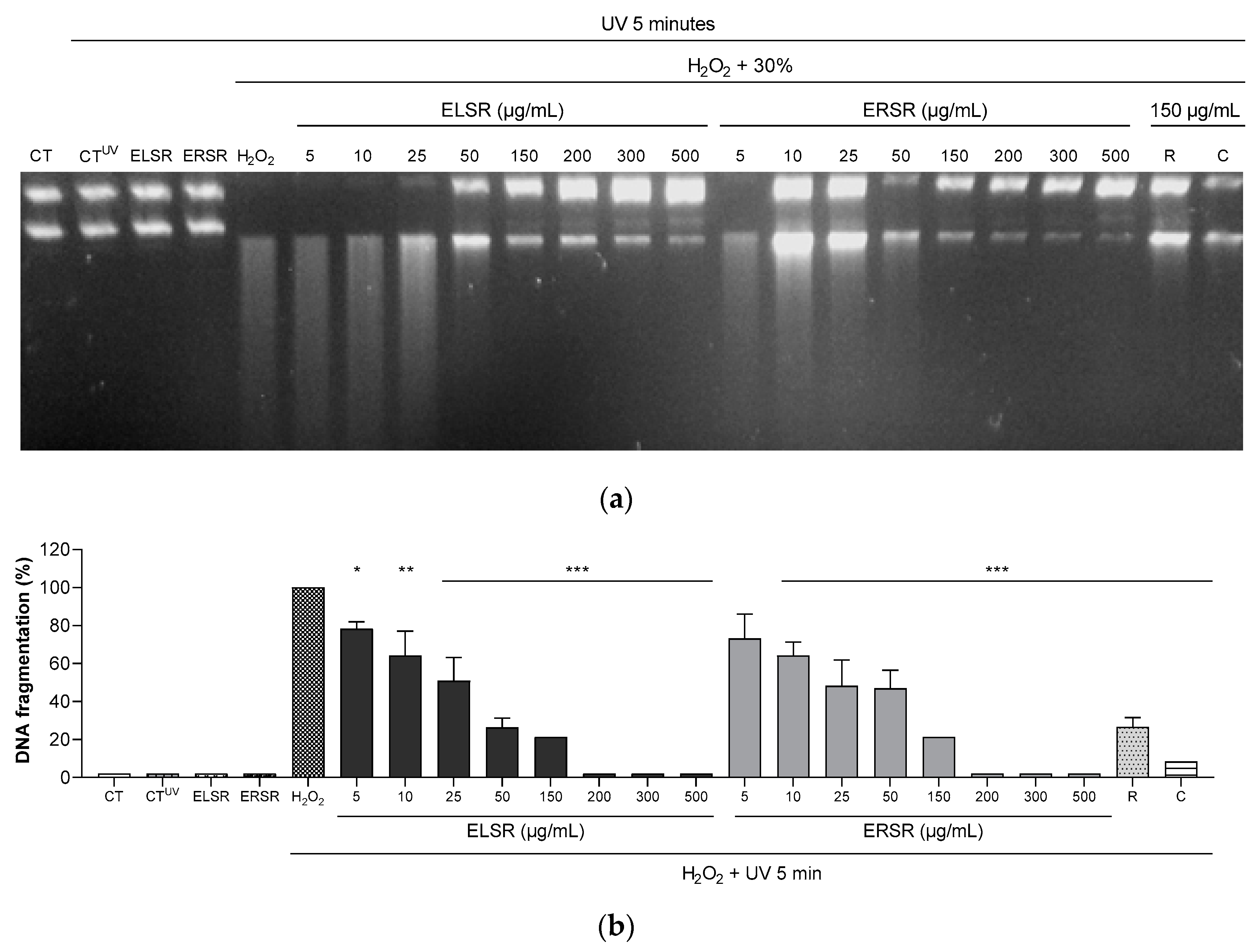 Preprints 106709 g003