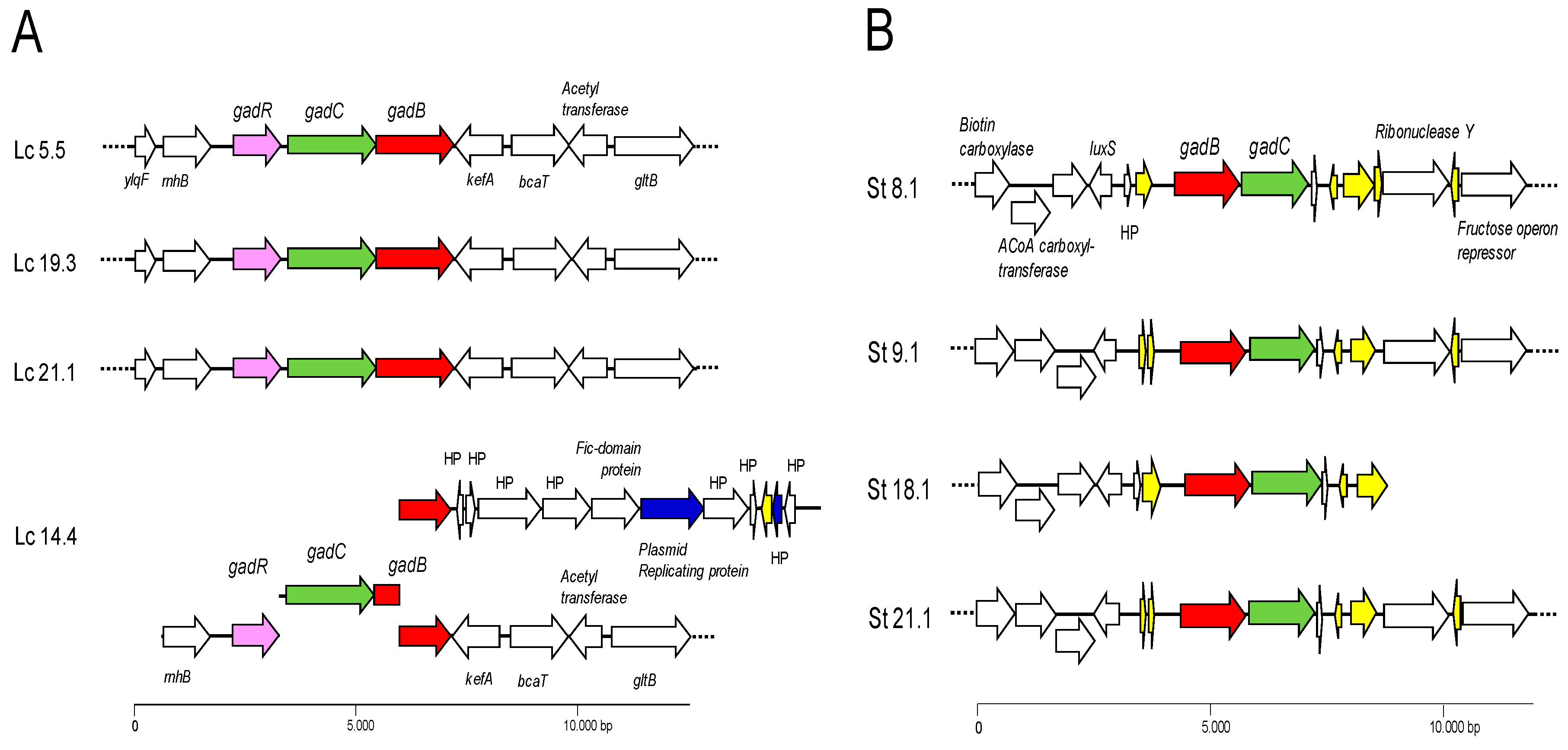 Preprints 96521 g002