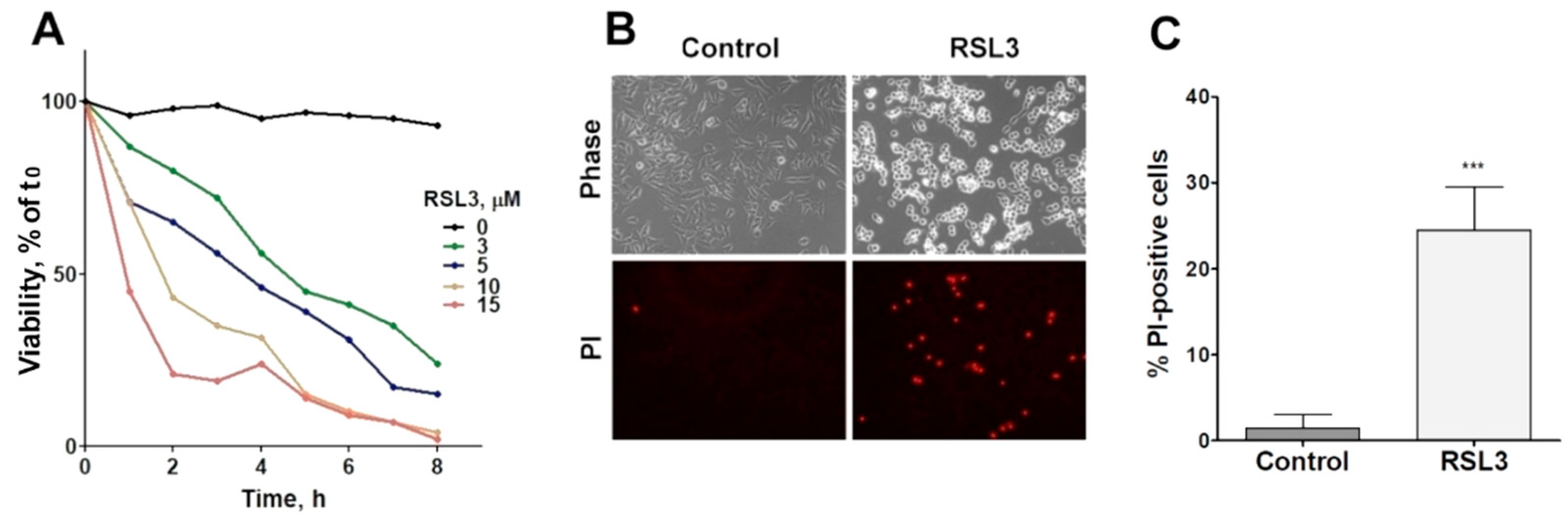 Preprints 97248 g001