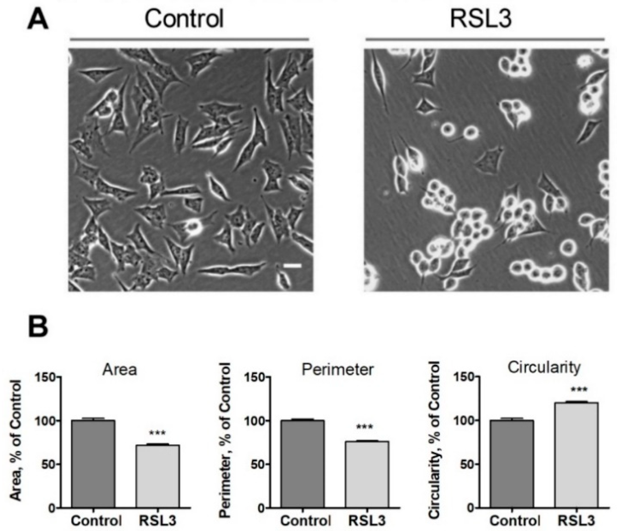 Preprints 97248 g002