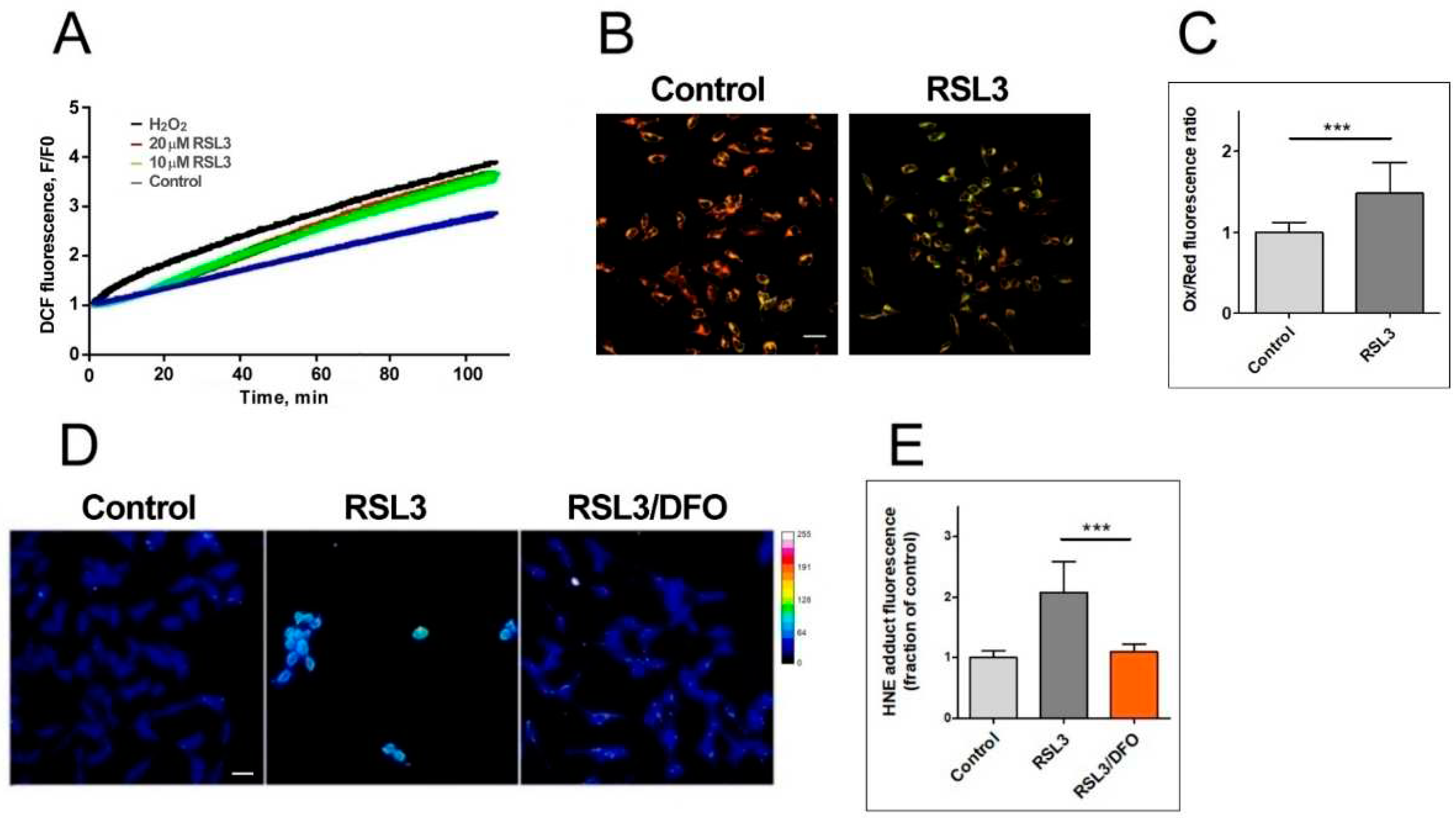 Preprints 97248 g003