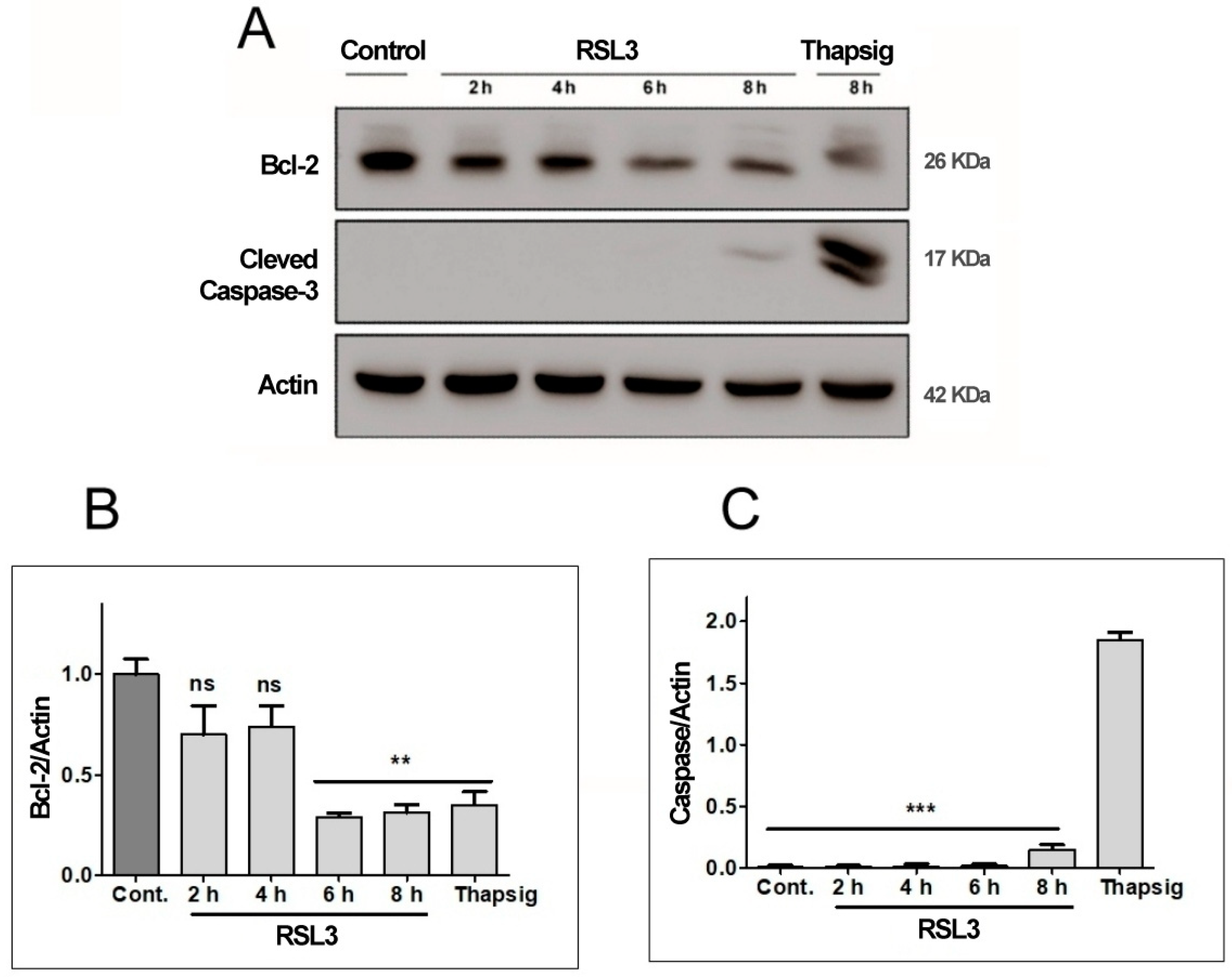 Preprints 97248 g004