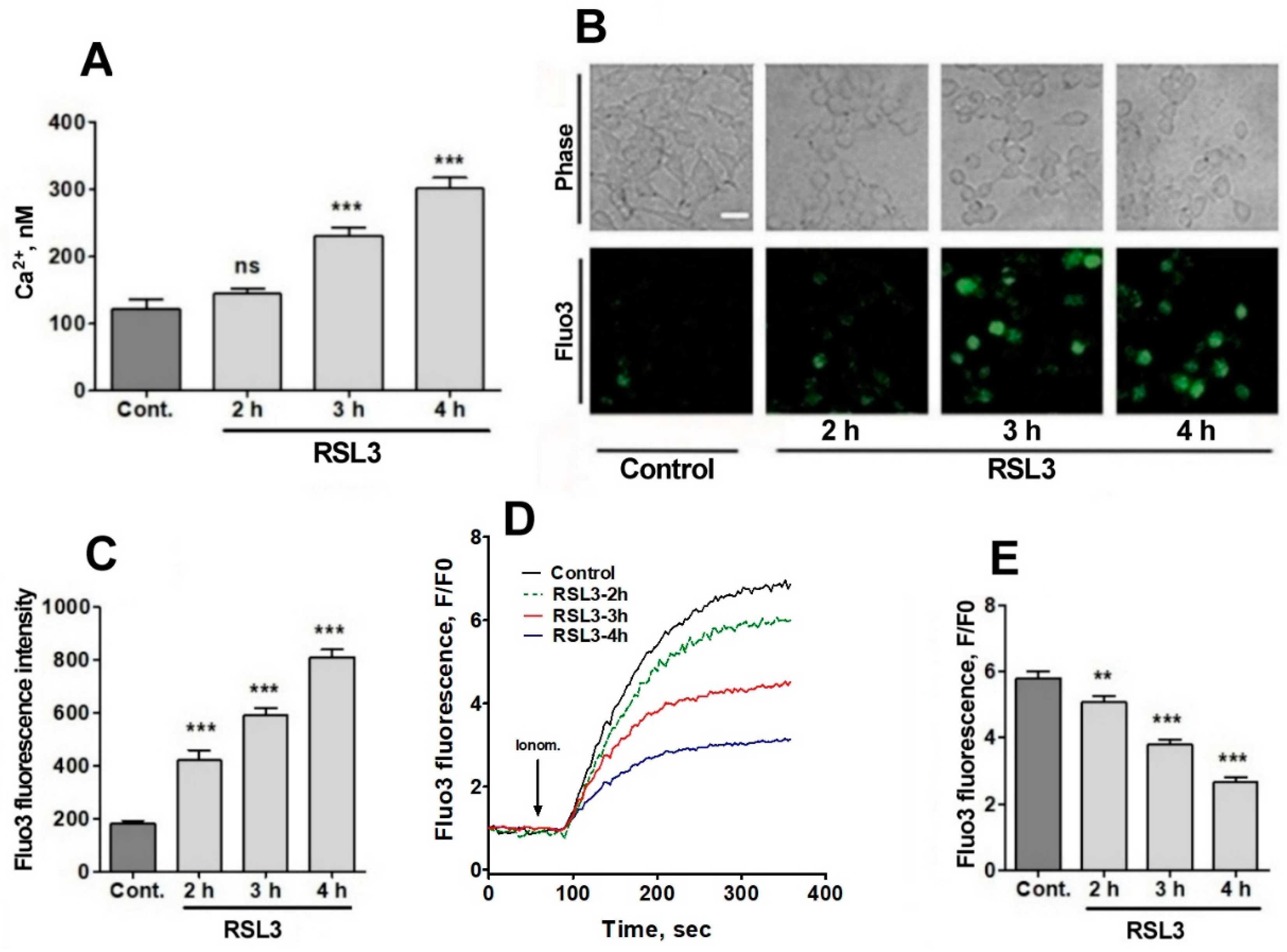 Preprints 97248 g005