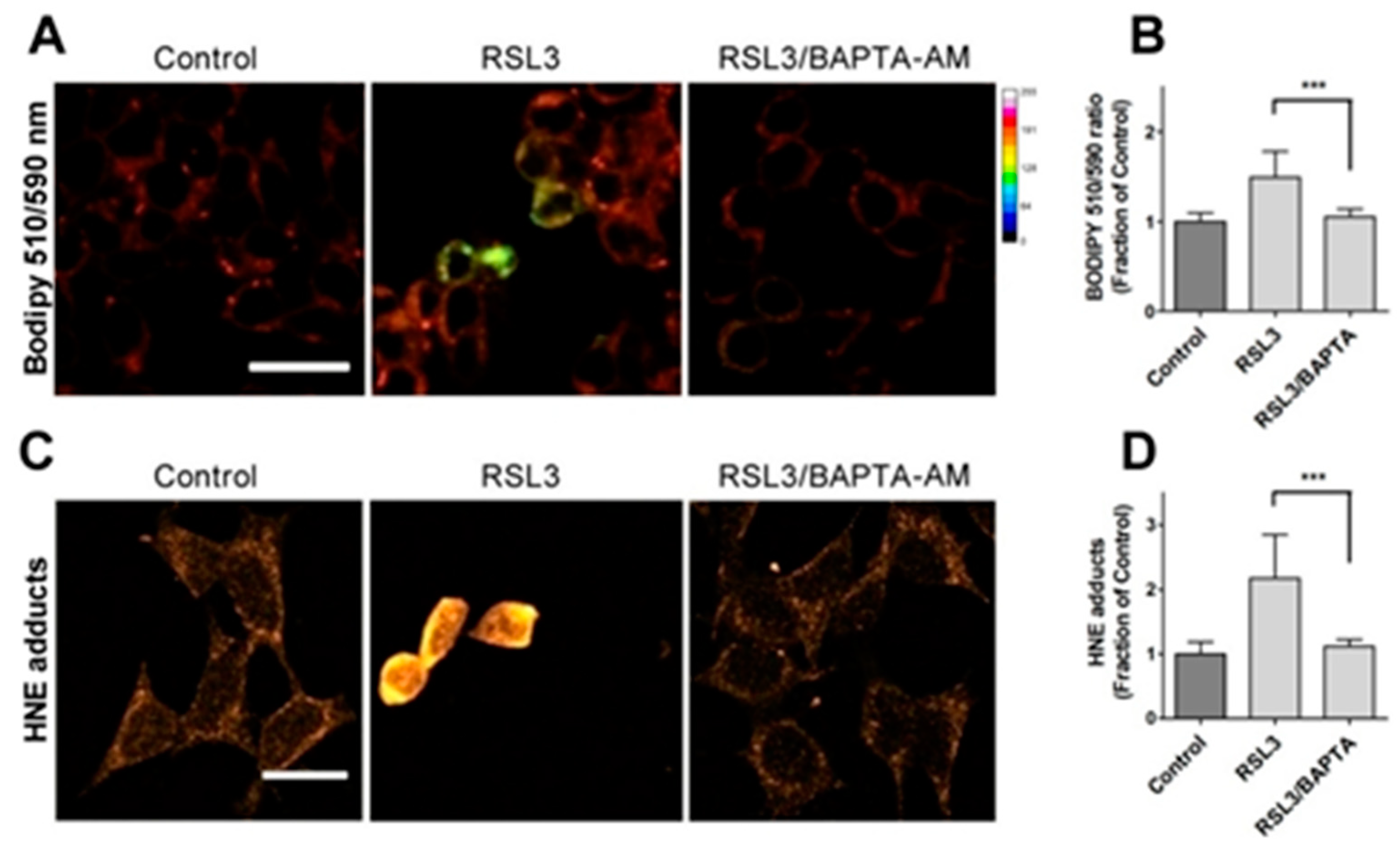 Preprints 97248 g006