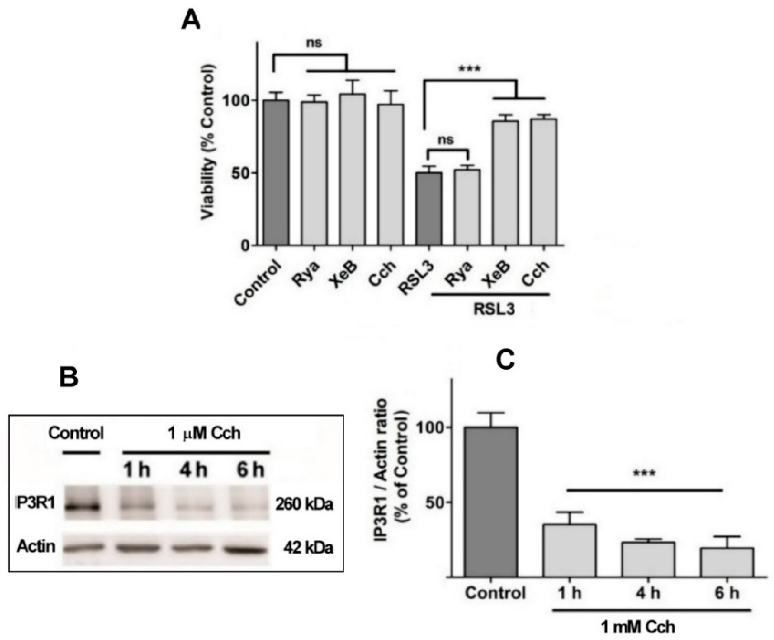 Preprints 97248 g008