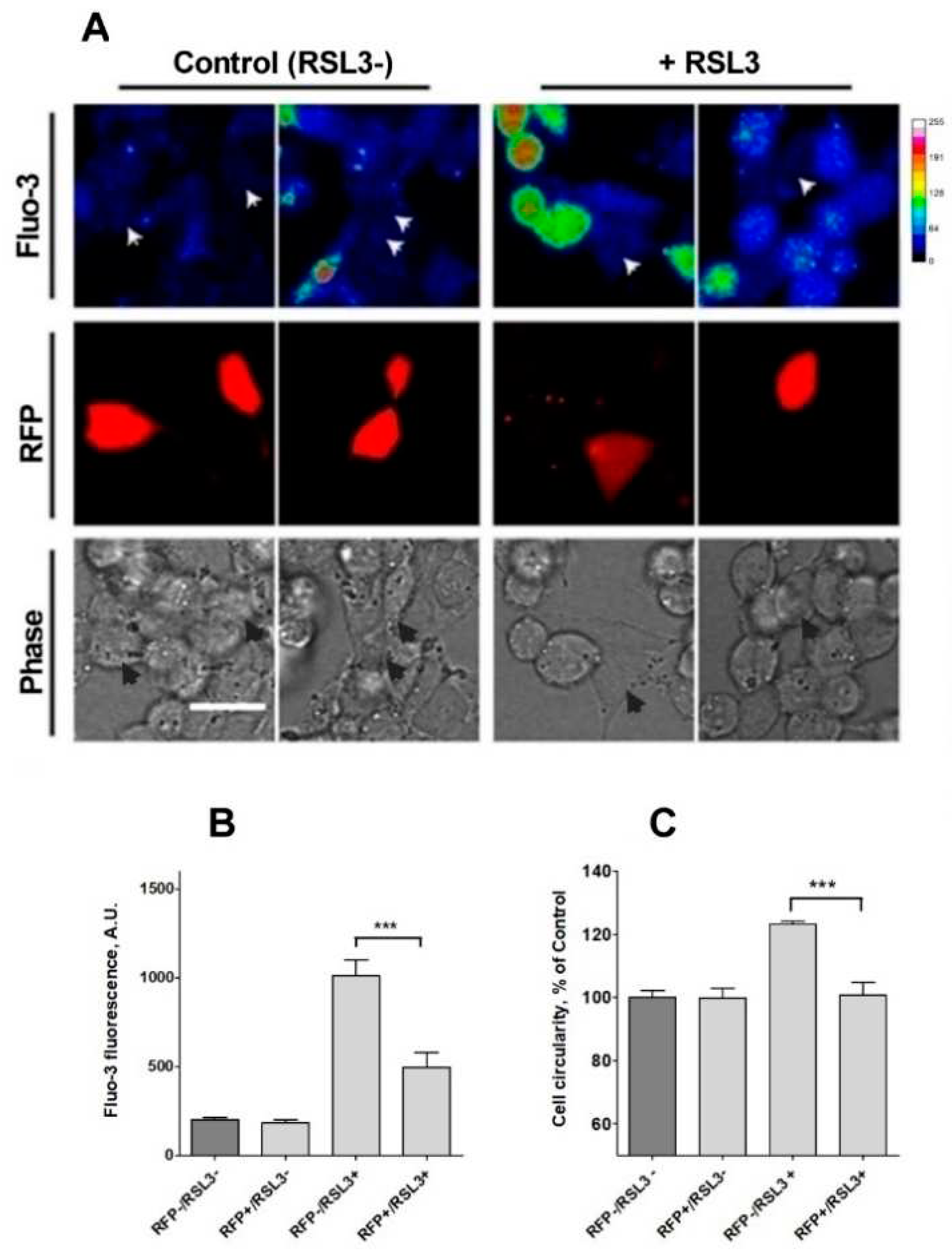 Preprints 97248 g009