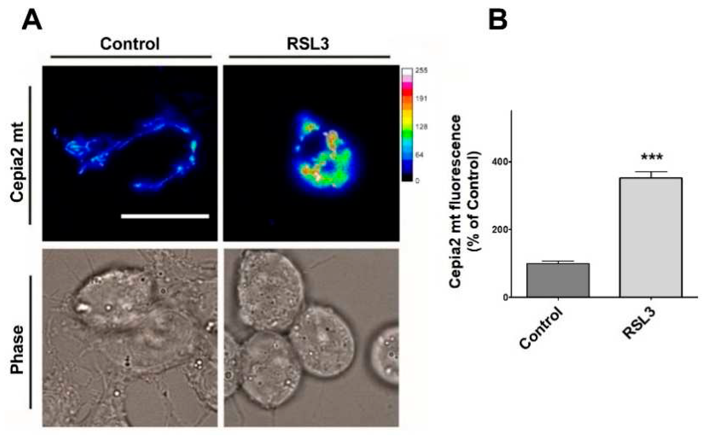 Preprints 97248 g010