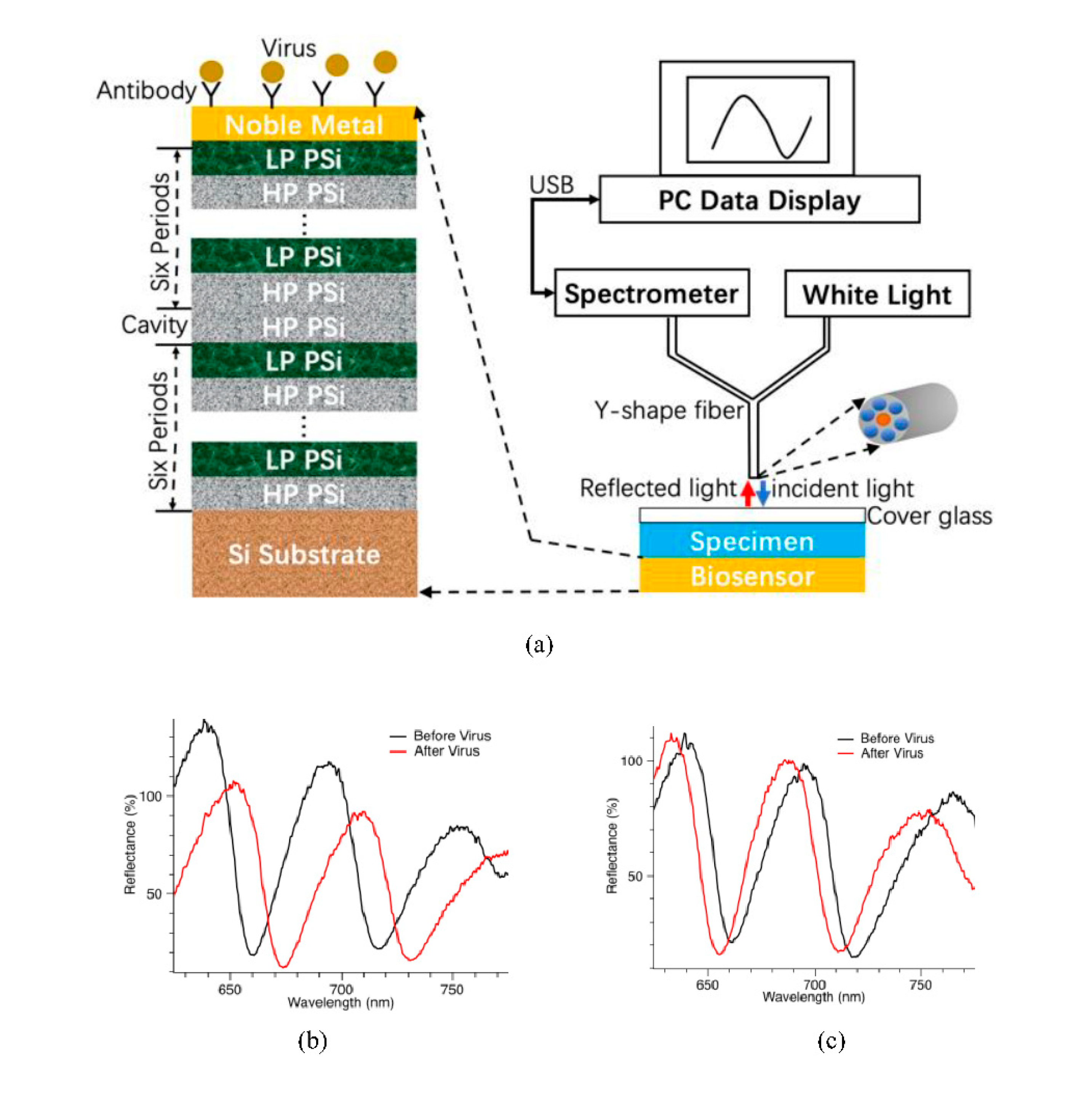 Preprints 81038 g001