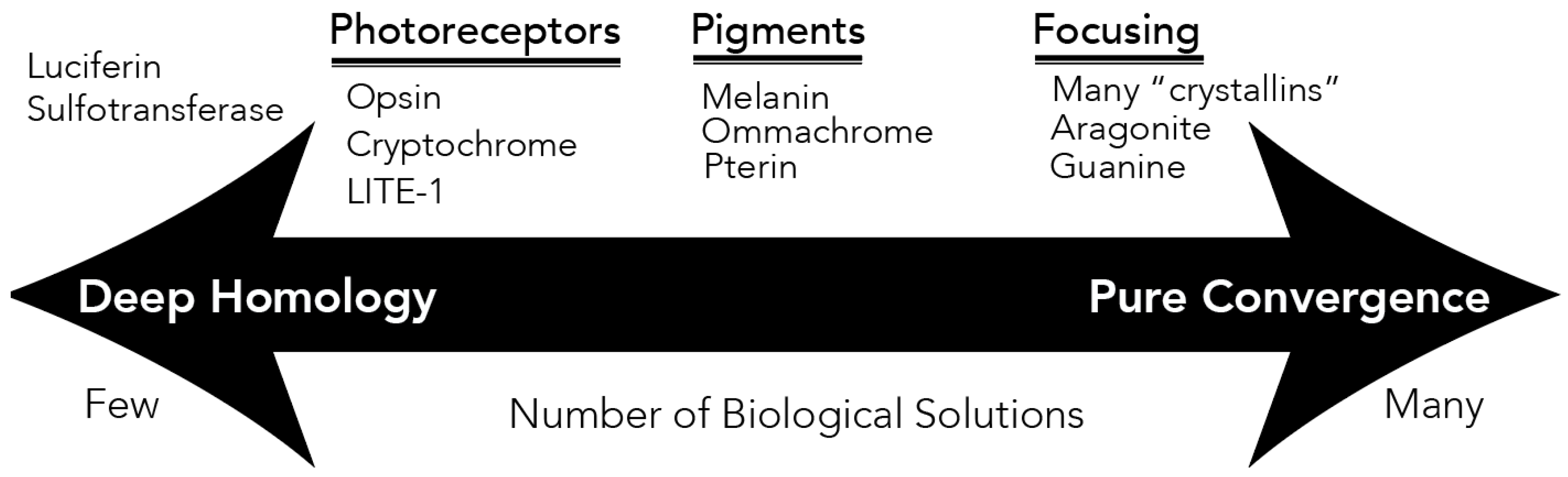 Preprints 108154 g001