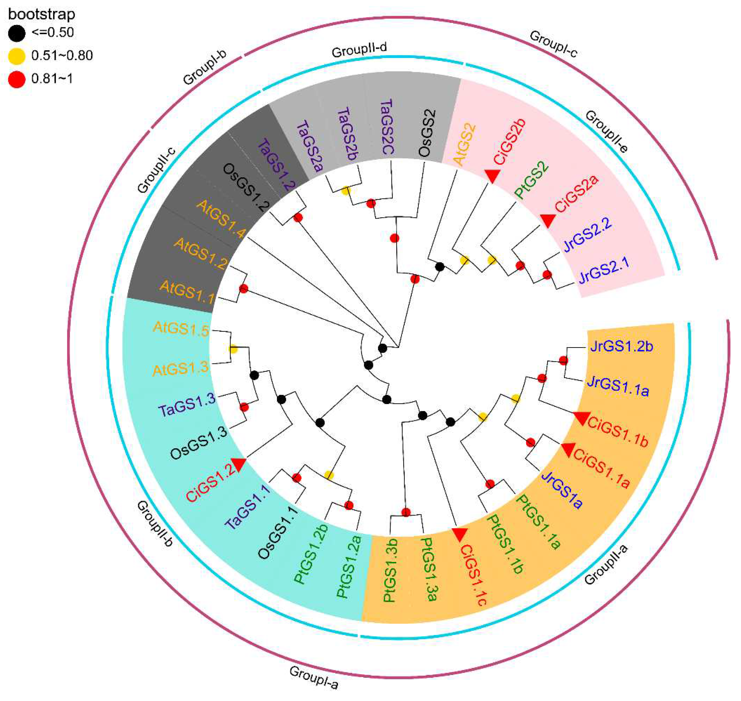 Preprints 89020 g001