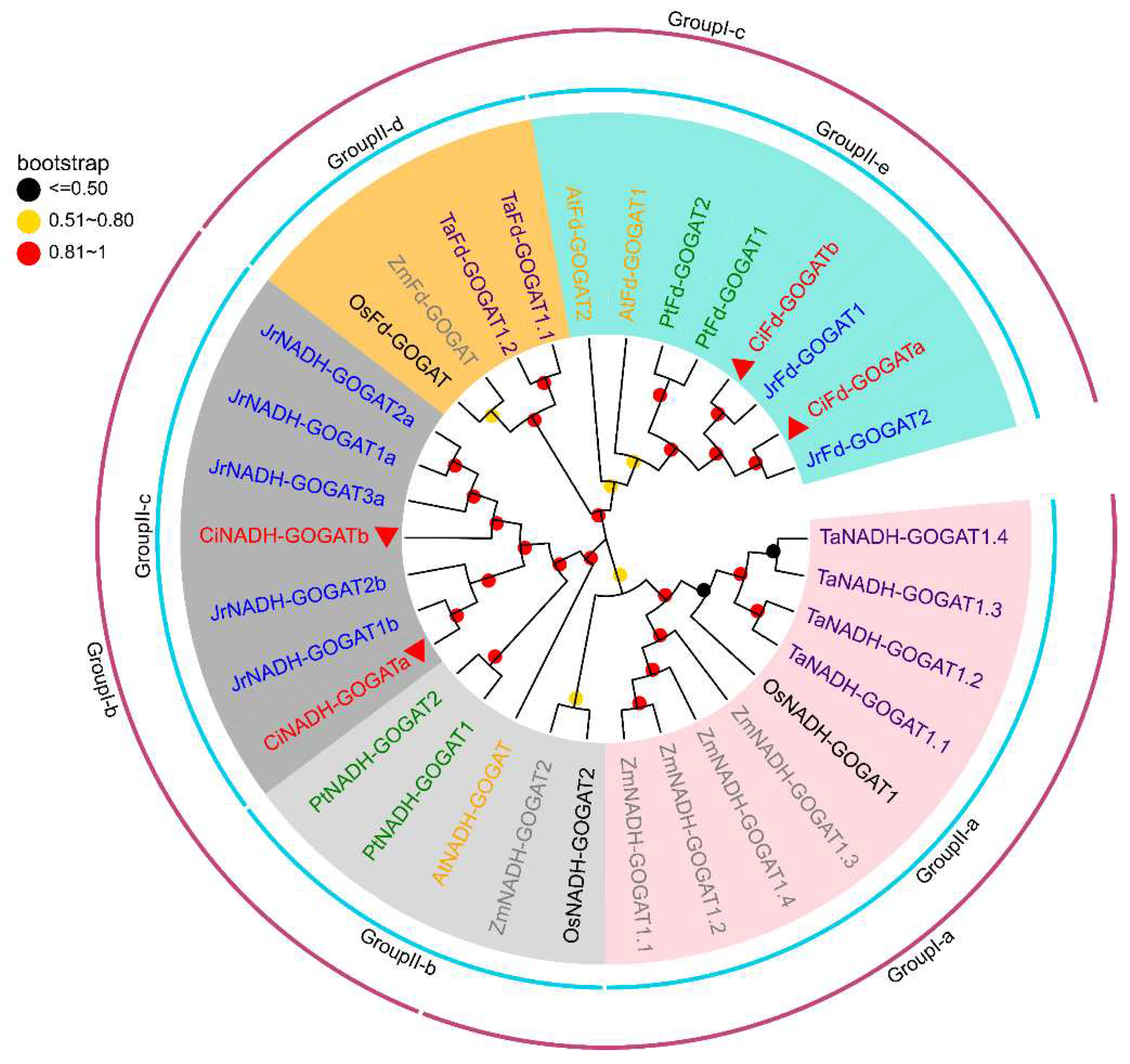 Preprints 89020 g002