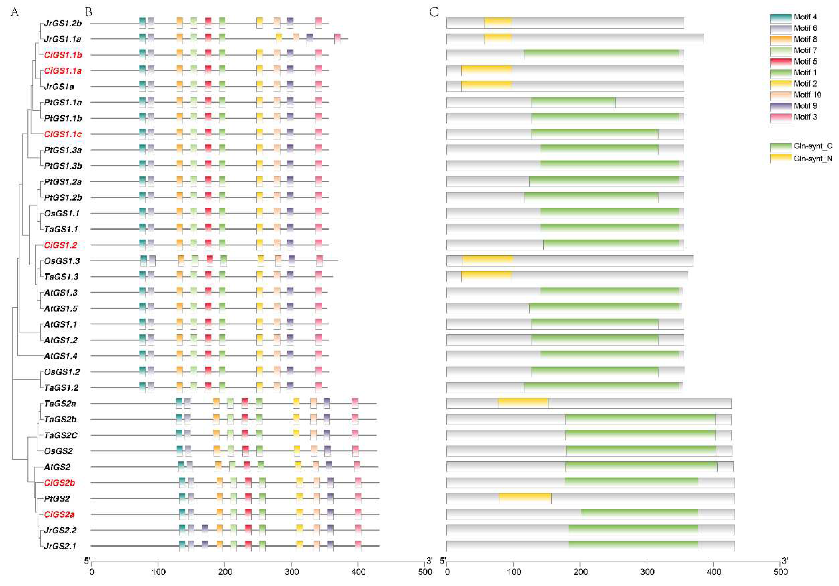 Preprints 89020 g003