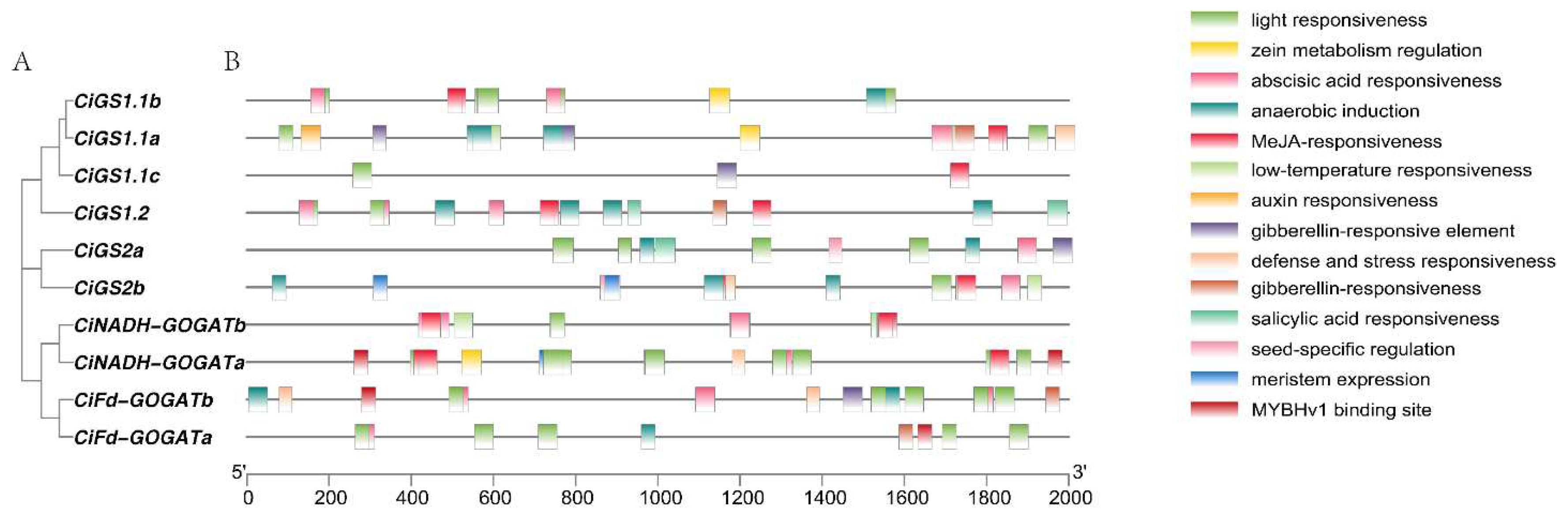 Preprints 89020 g006