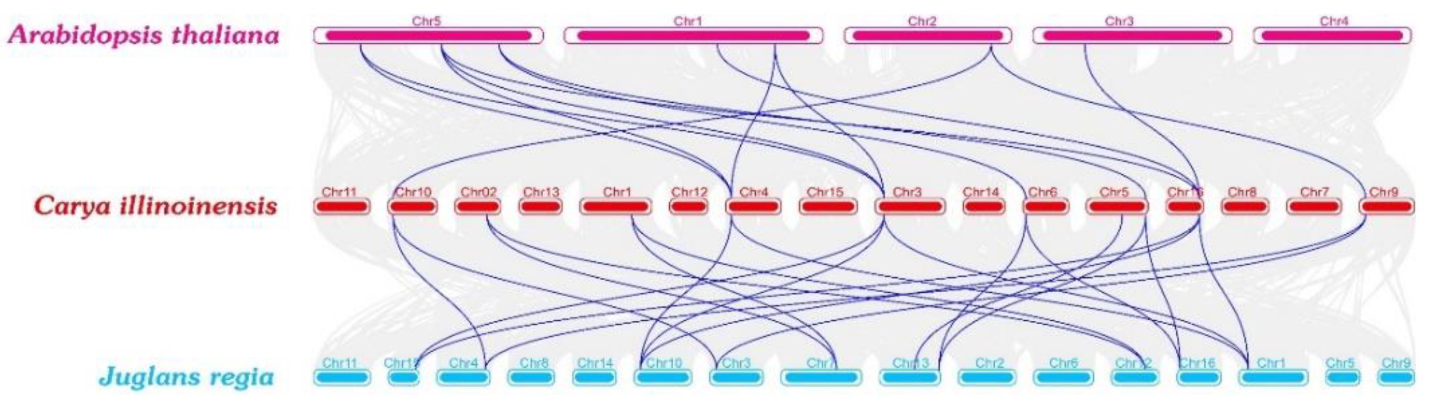 Preprints 89020 g007