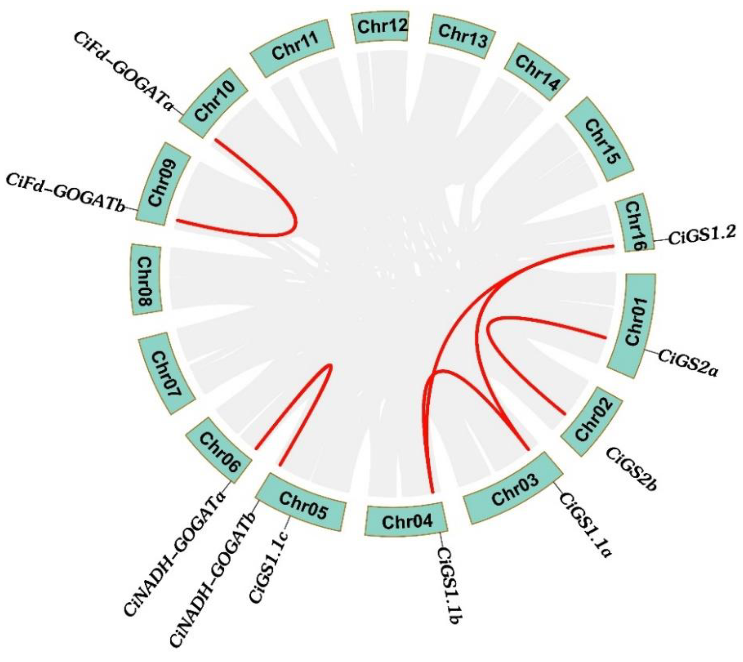 Preprints 89020 g008