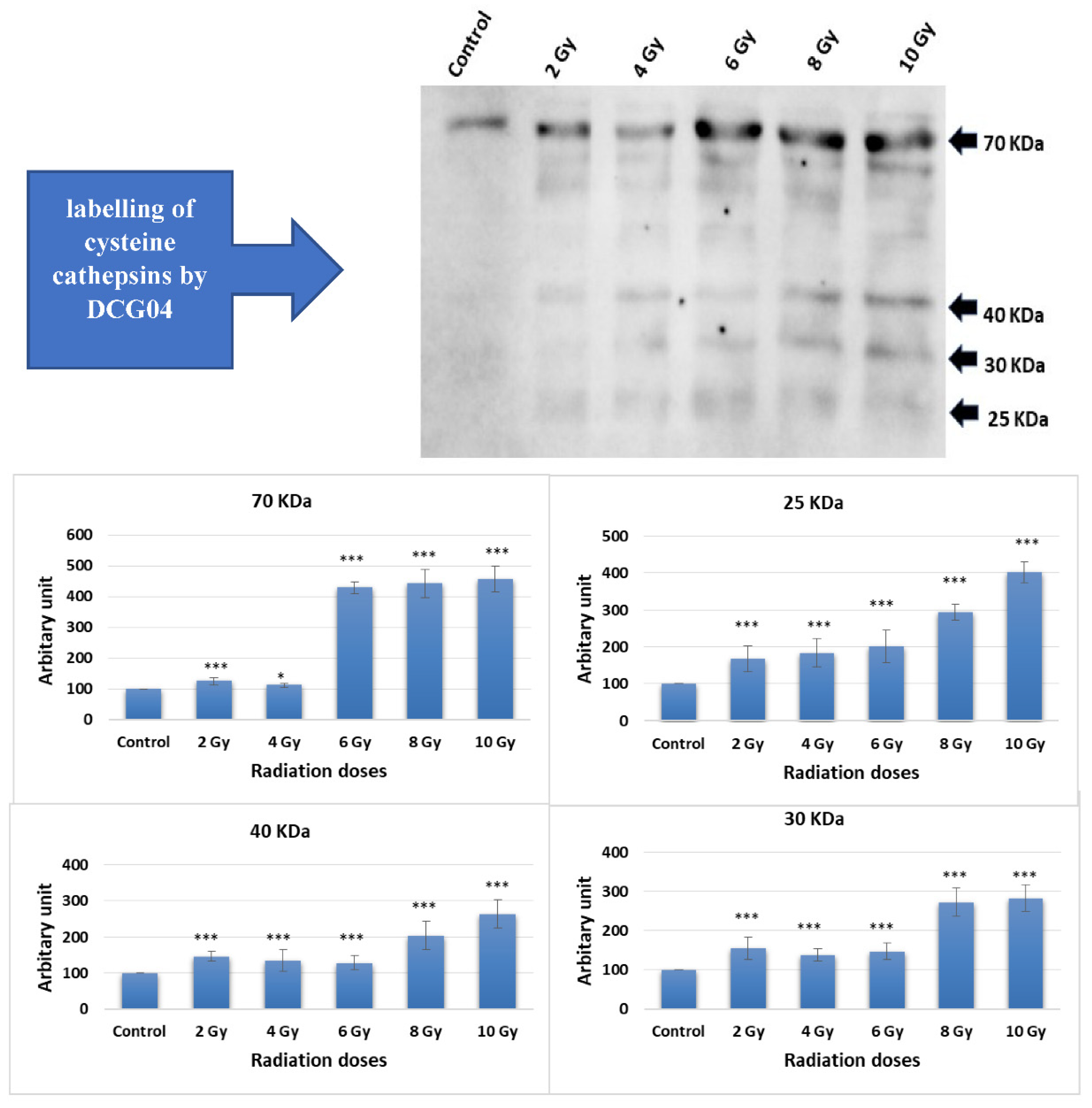 Preprints 87526 g001