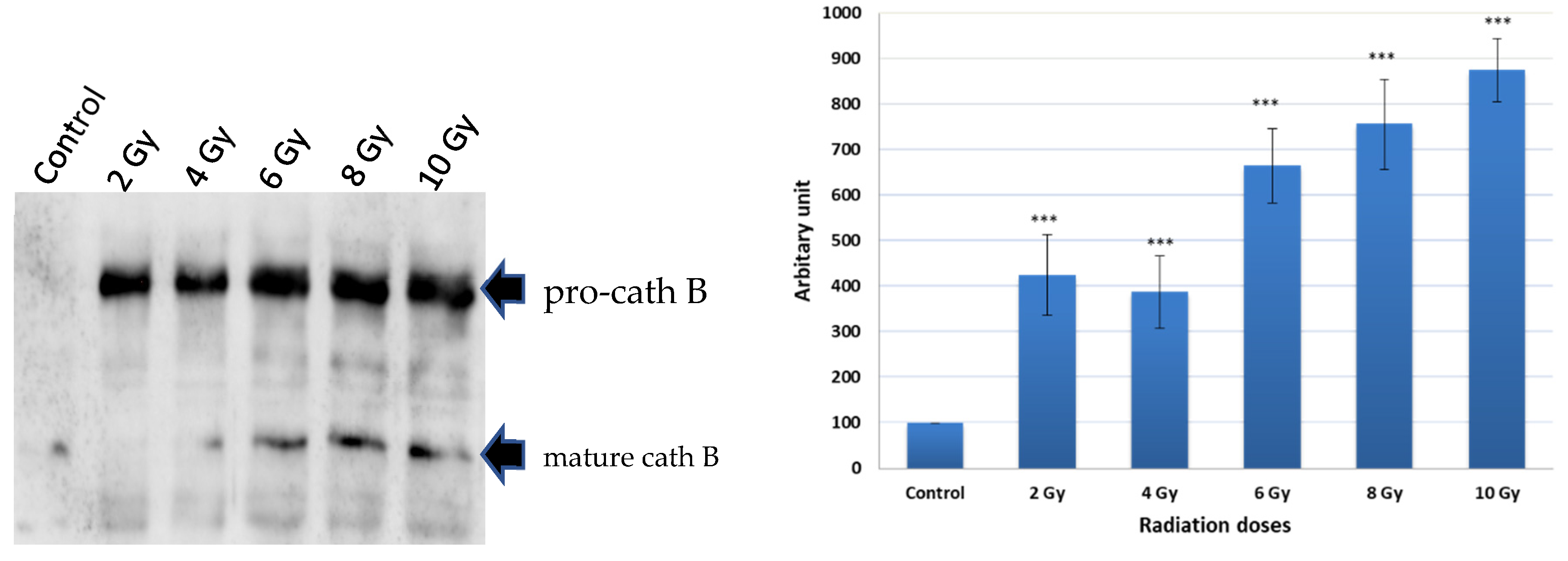 Preprints 87526 g002