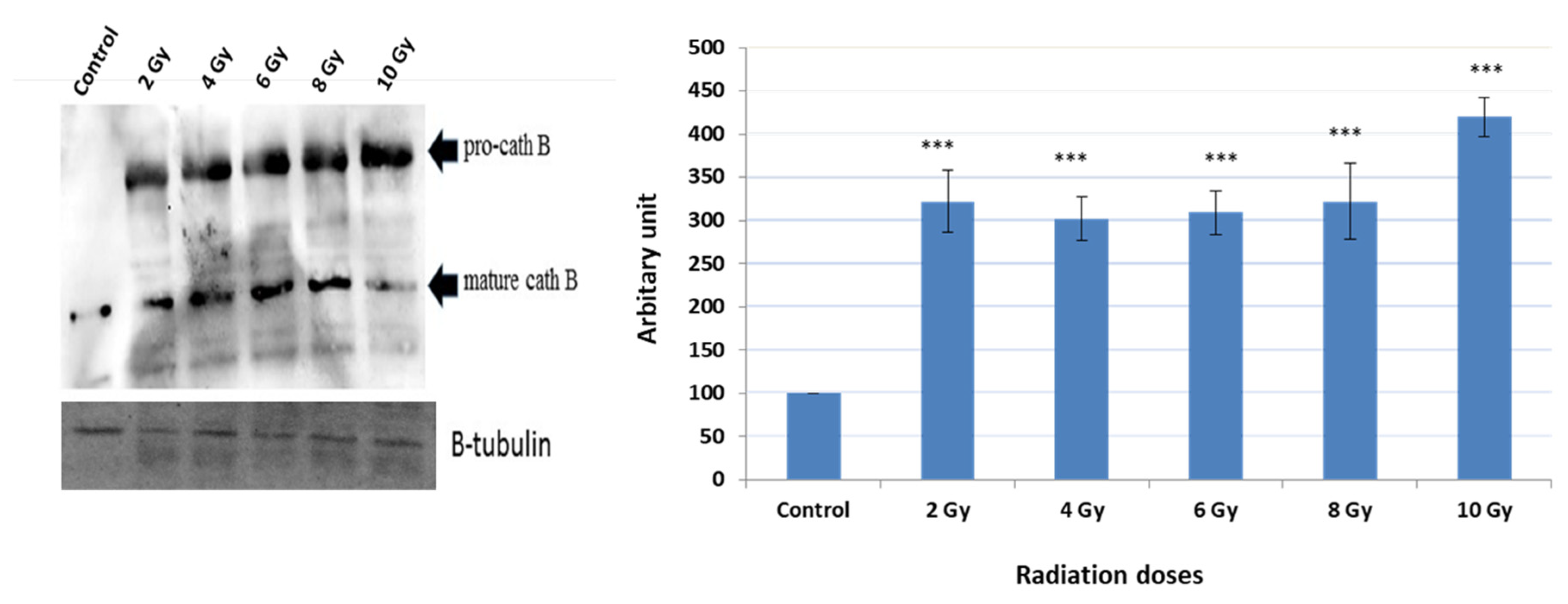 Preprints 87526 g003