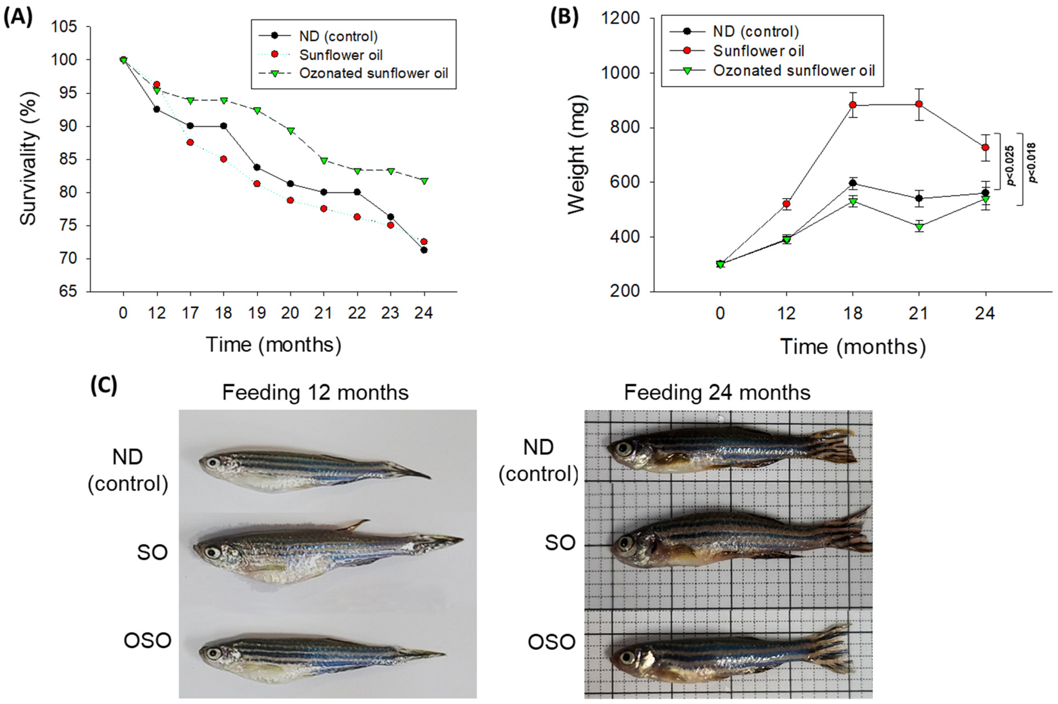 Preprints 91400 g001