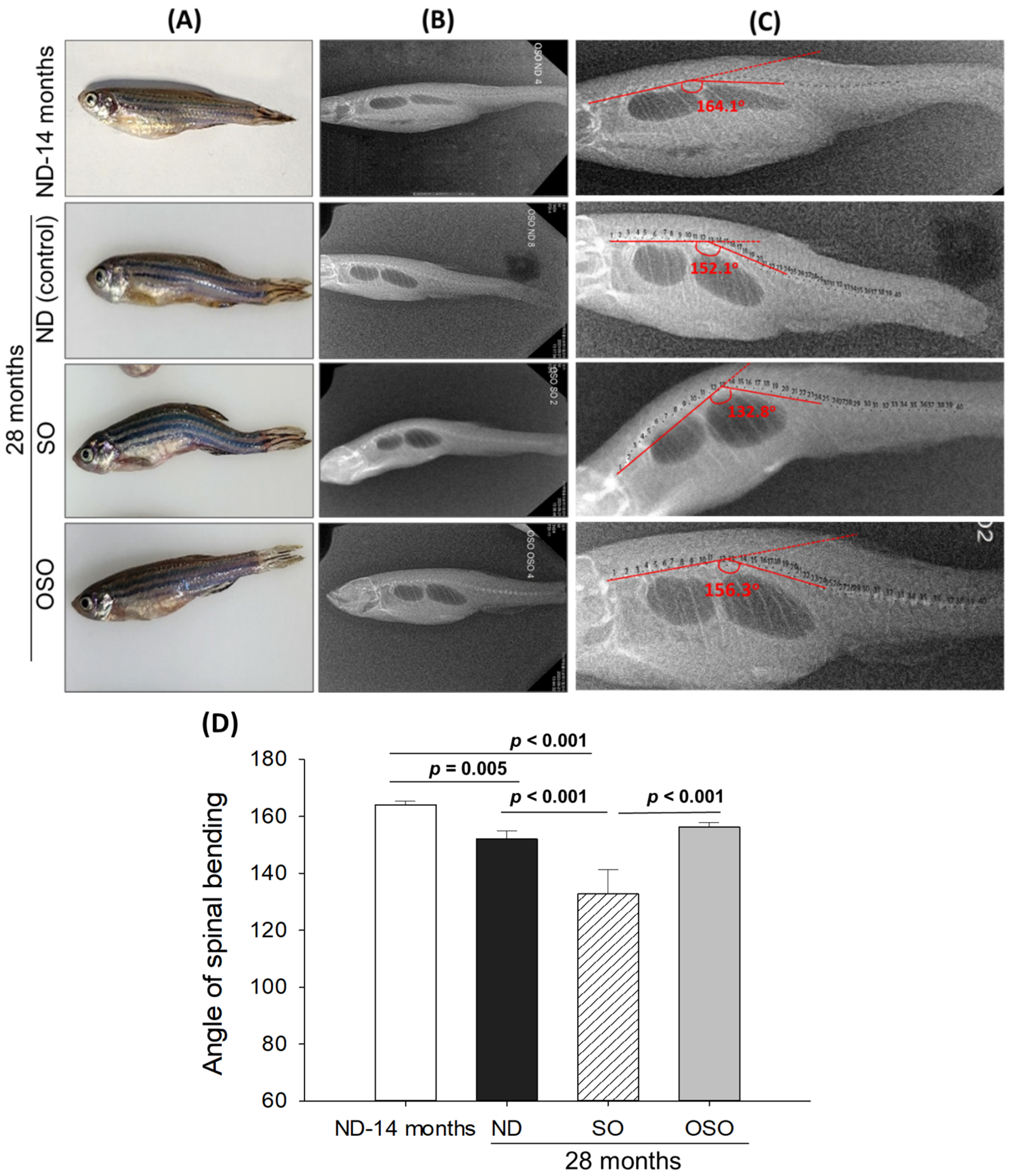 Preprints 91400 g002