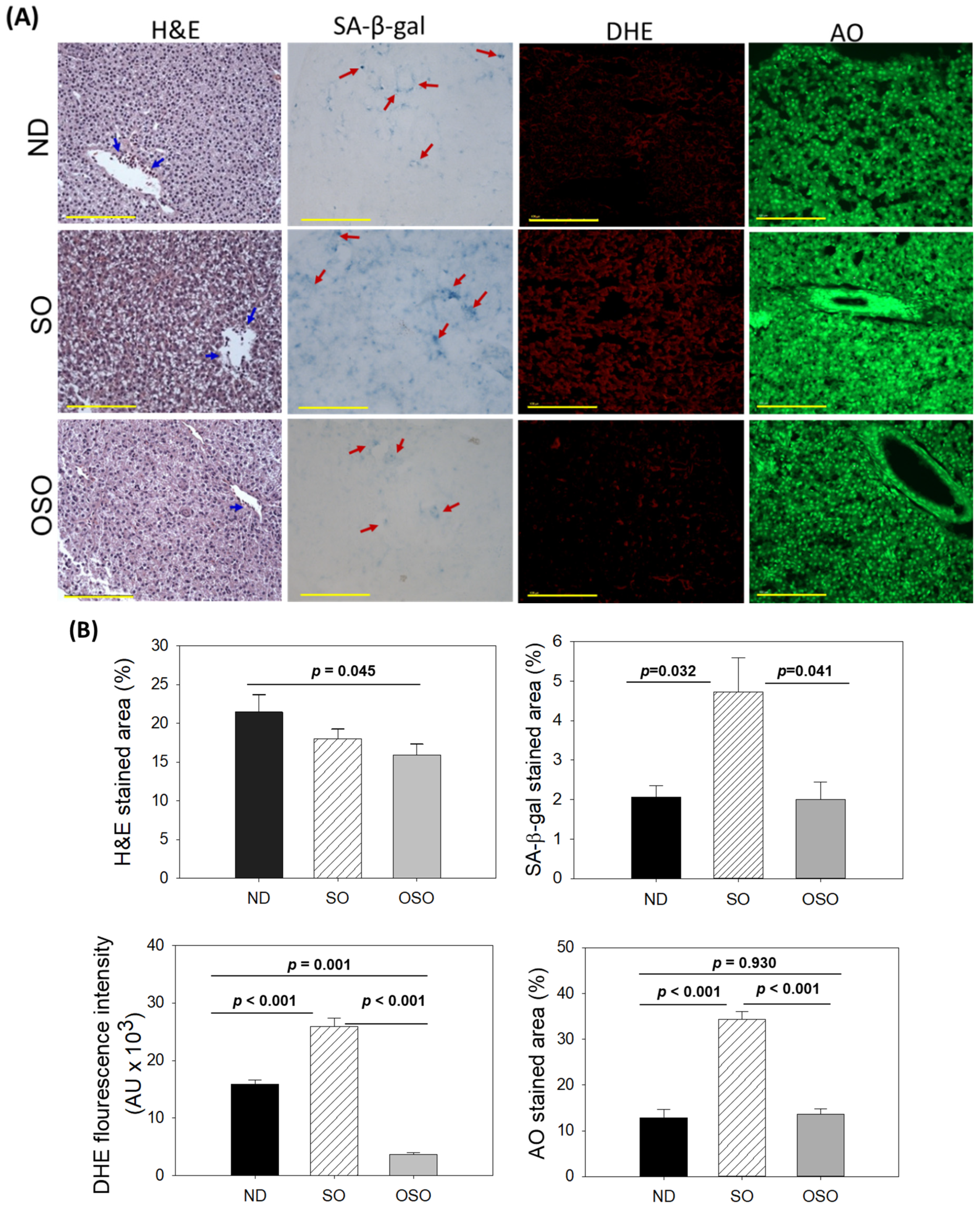 Preprints 91400 g003