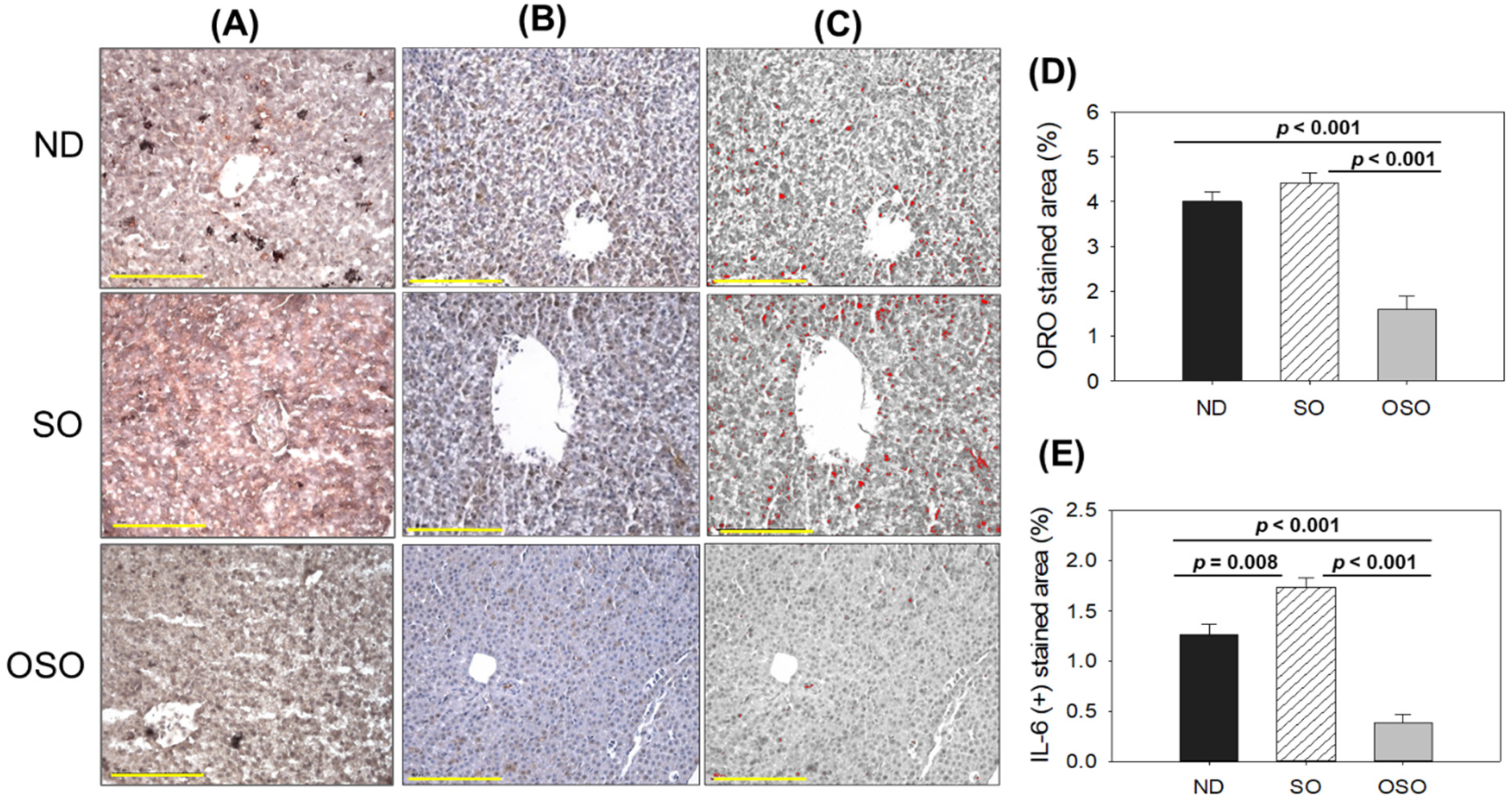 Preprints 91400 g004