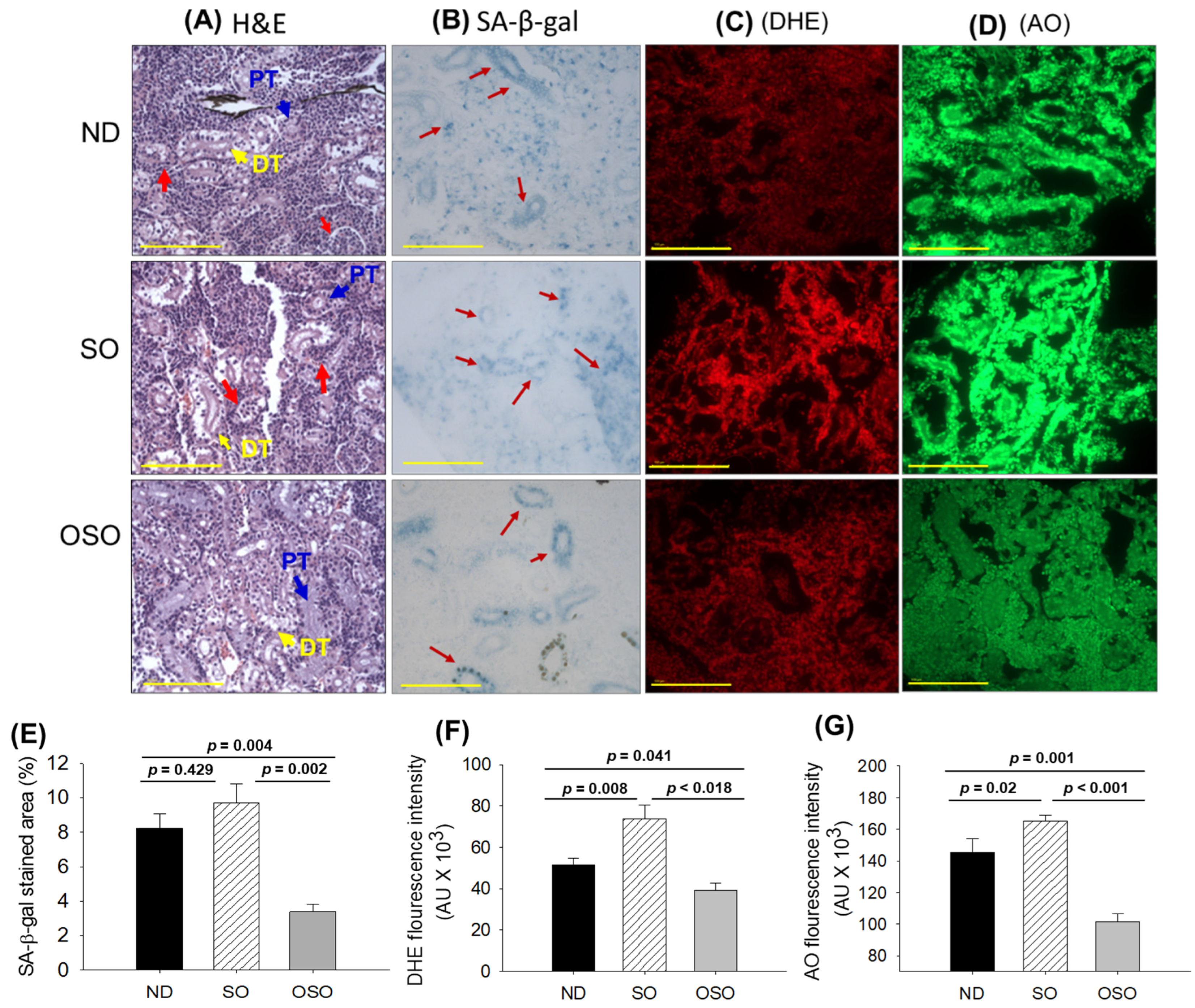 Preprints 91400 g006