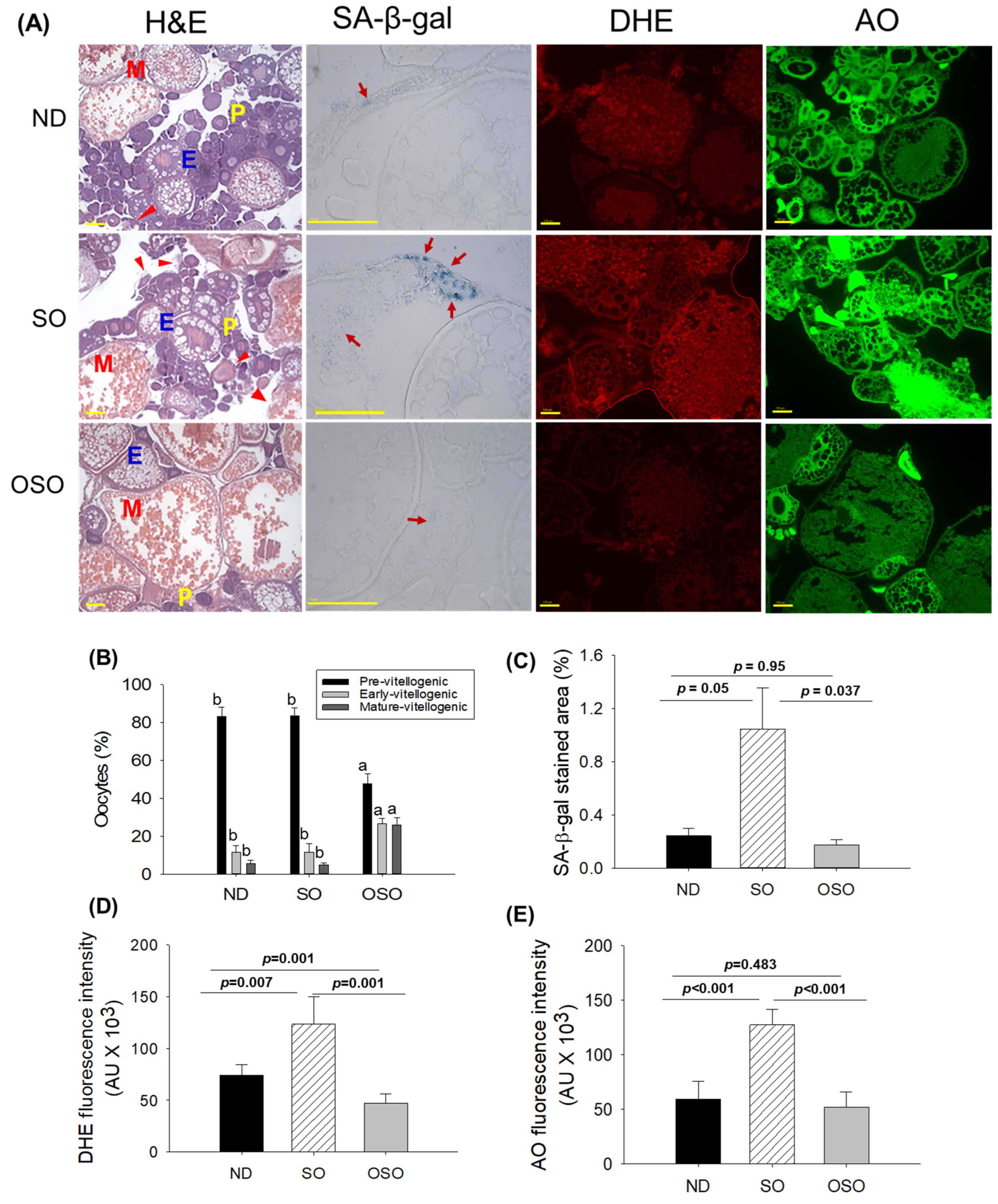 Preprints 91400 g007