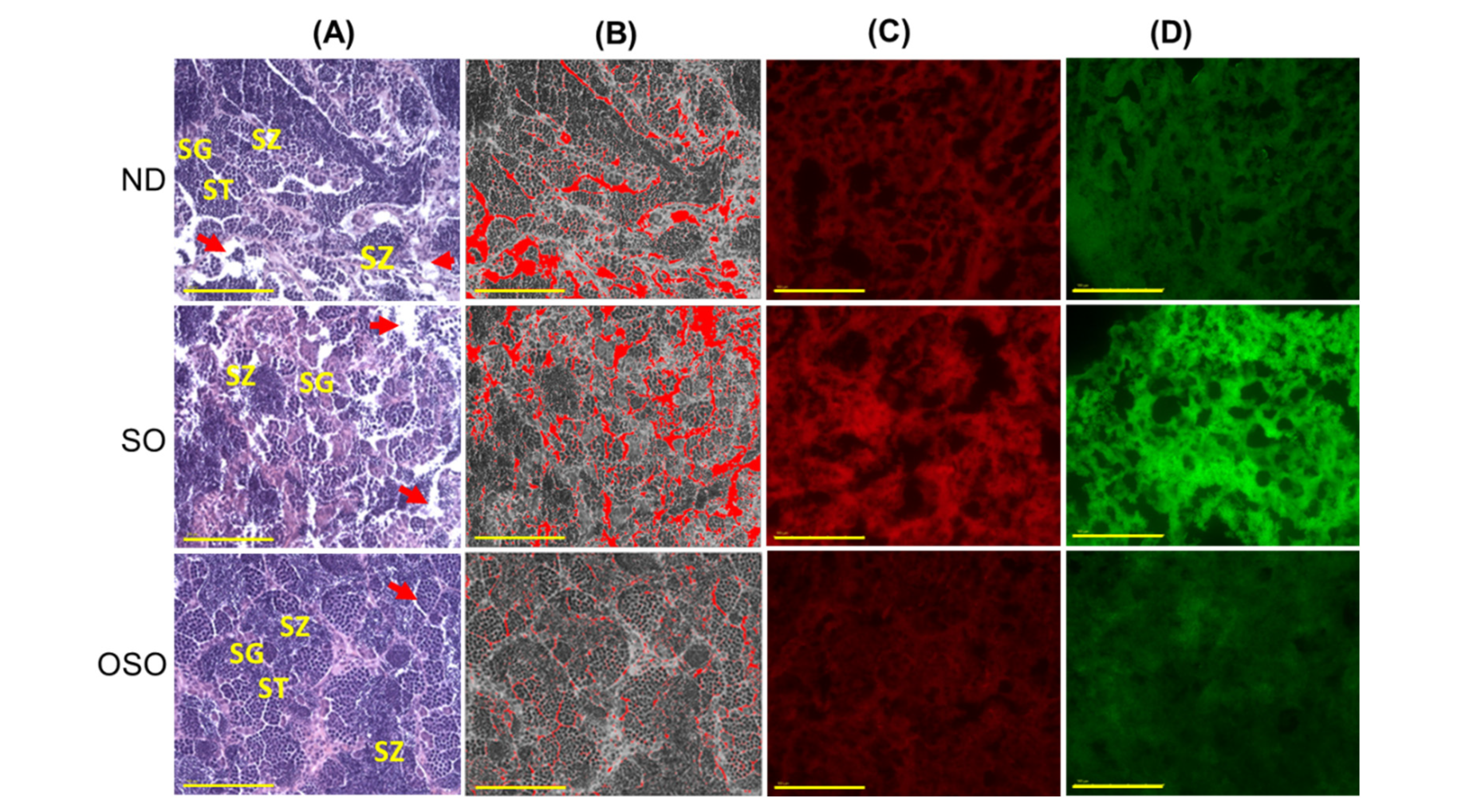 Preprints 91400 g008a