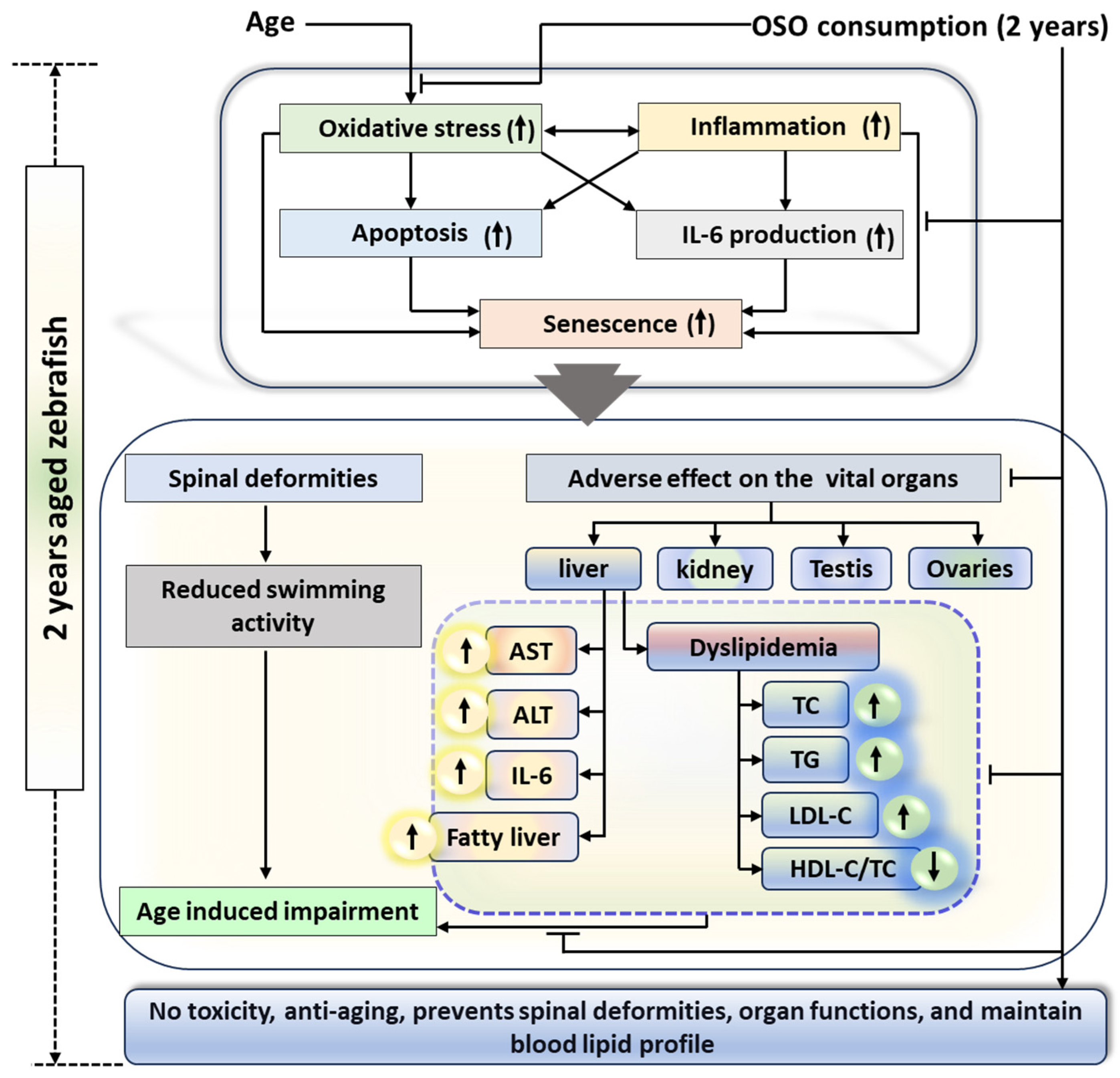 Preprints 91400 g010