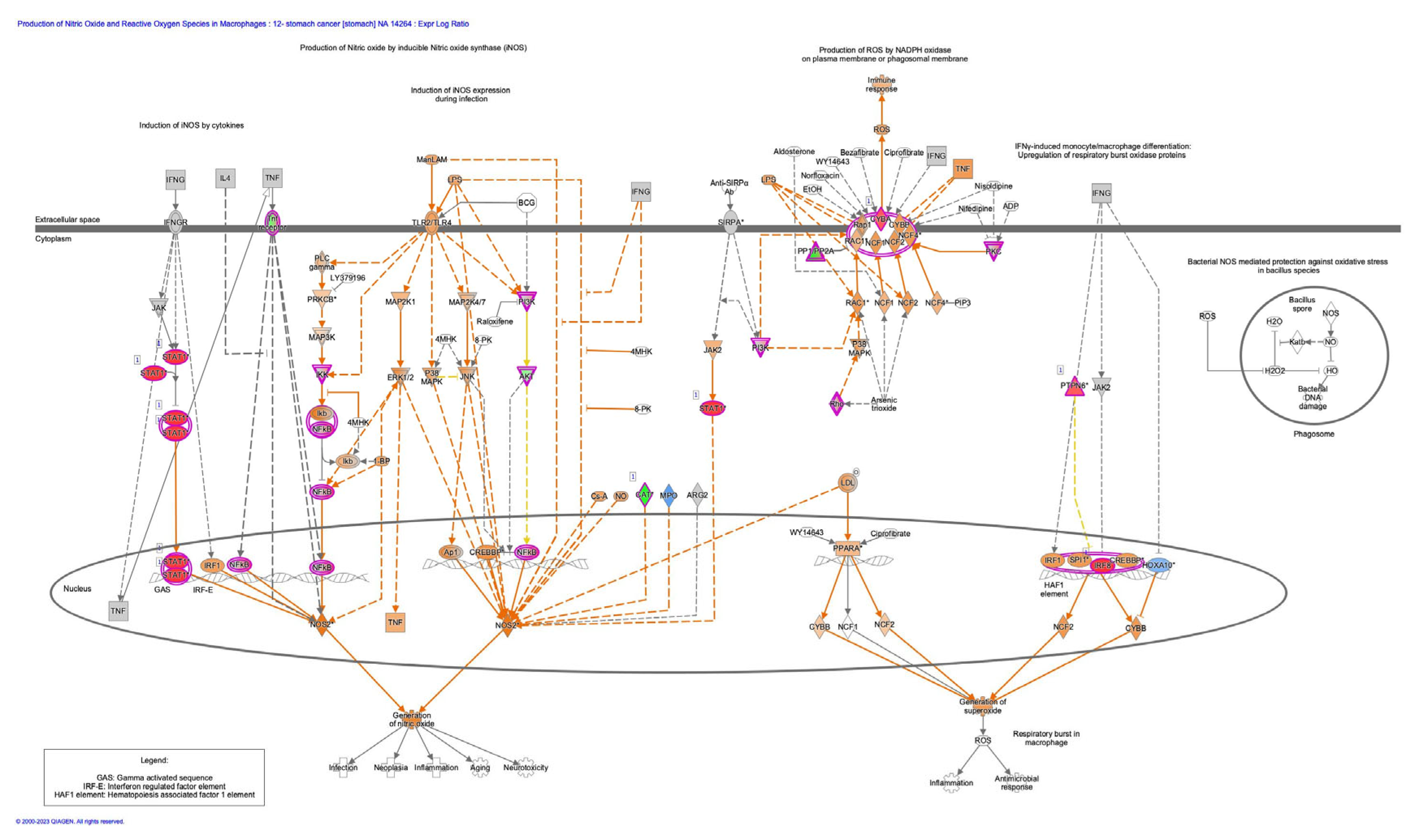 Preprints 109975 g001